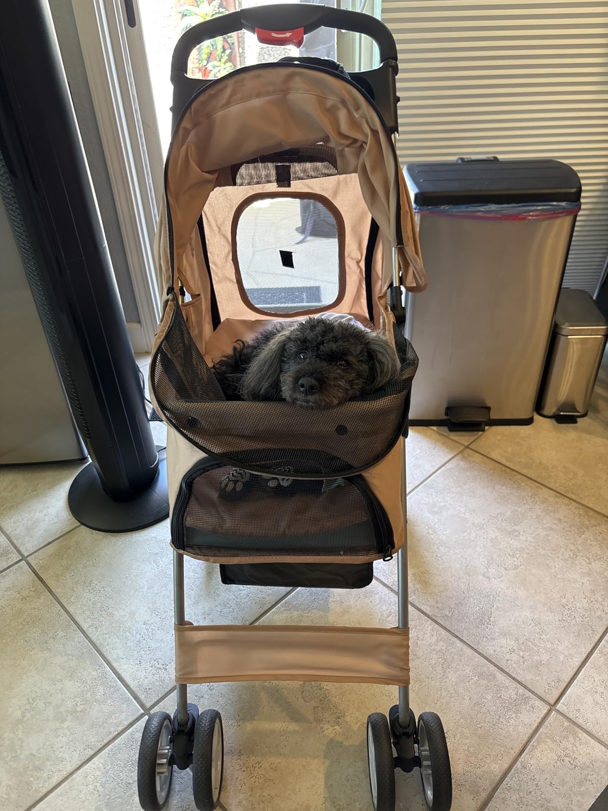 VIVO Black 4 Wheel Pet Stroller for Cat, Dog and More, Foldable Carrier Strolling Cart, STROLR-V001K customer photo 1