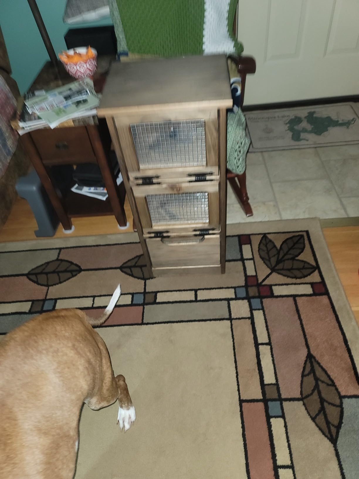 Veggie Bin, Rustic Walnut Stained Solid Pine Food Storage Container customer photo 2