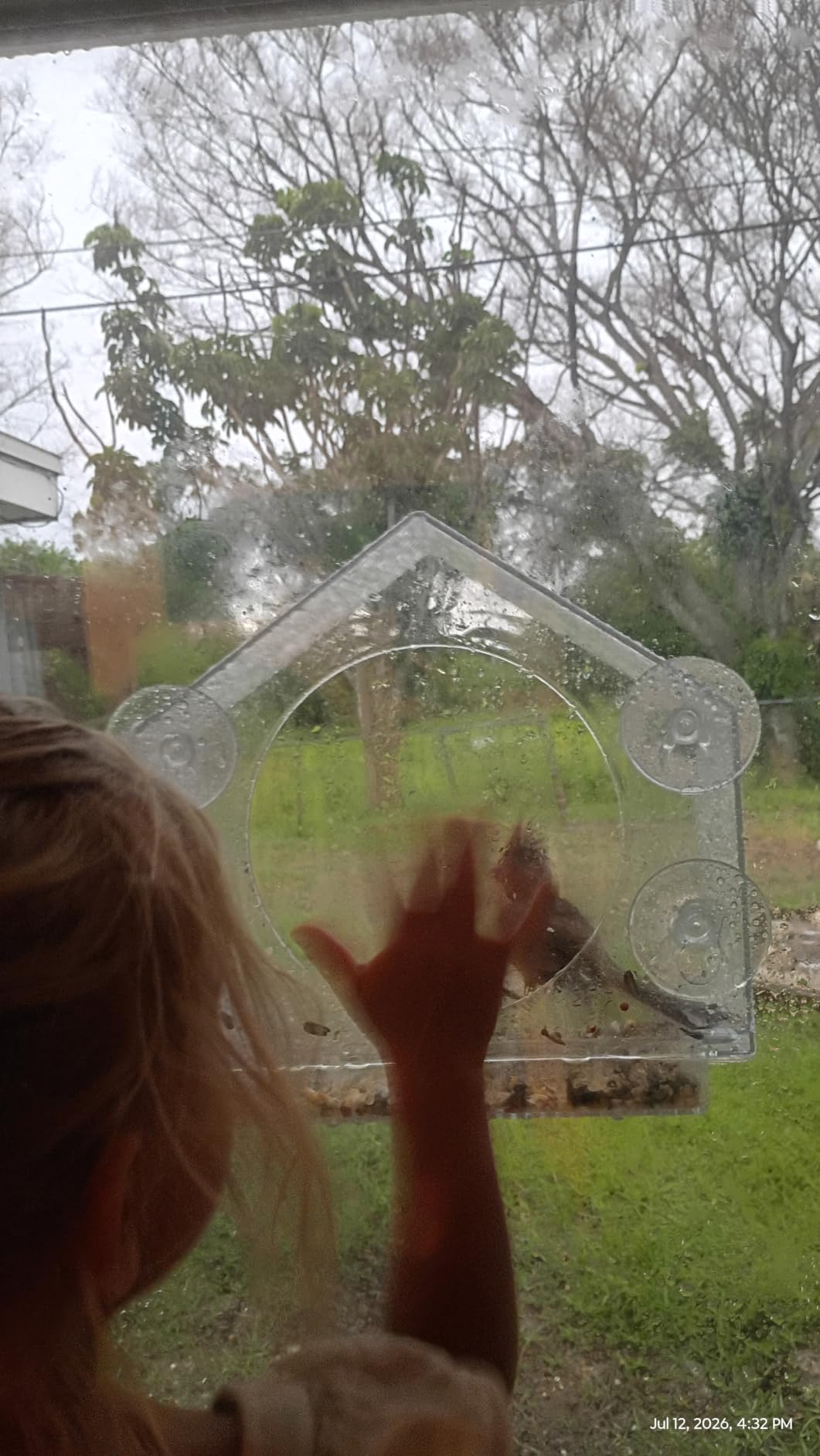 Window Bird Feeder with Strong Suction Cups, Bird Feeders for Outdoors customer photo 1