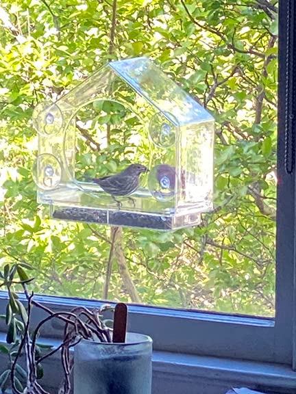Window Bird Feeder with Strong Suction Cups, Bird Feeders for Outdoors customer photo 2
