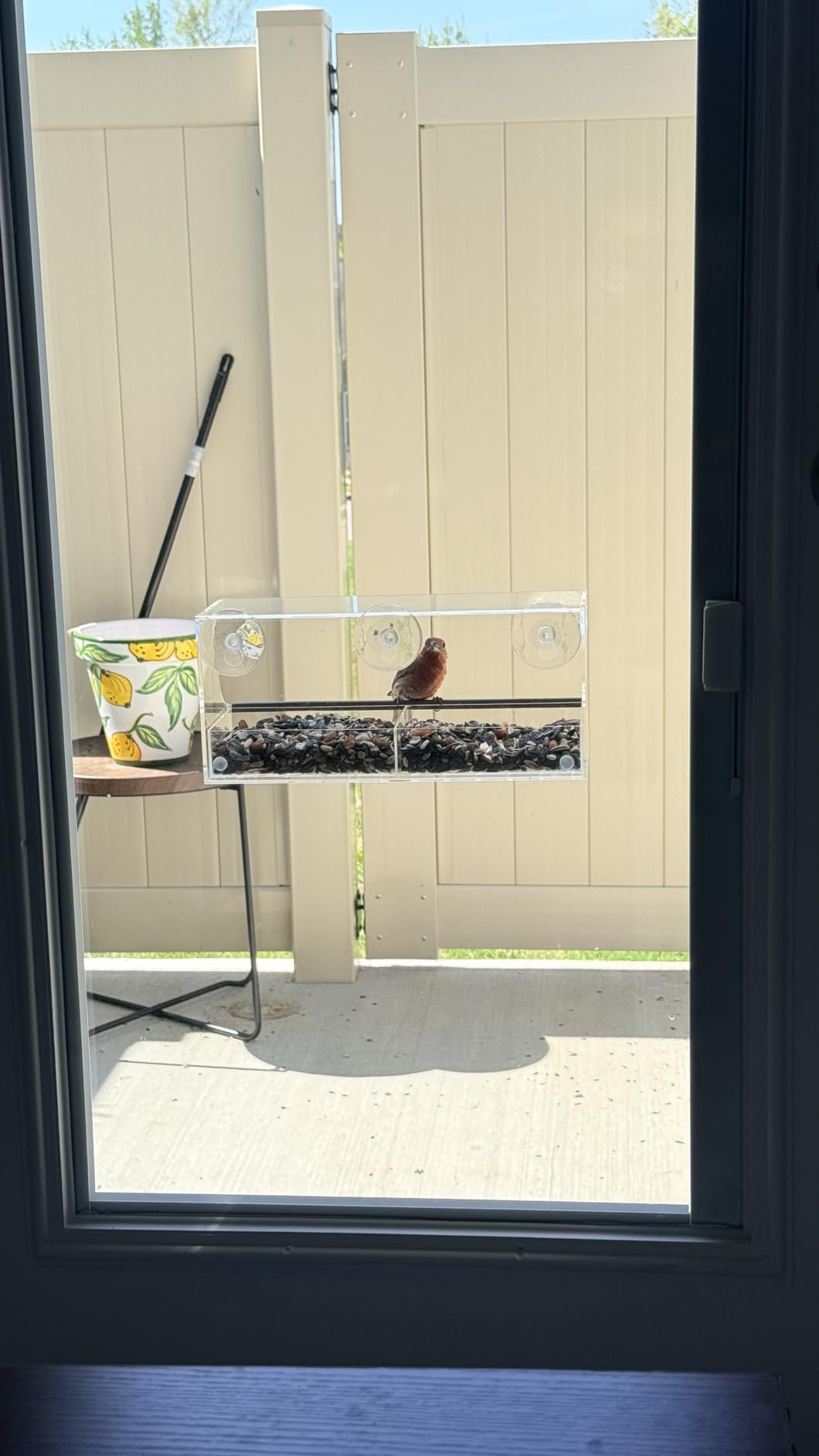Window Bird Feeder by Nature's Hangout - No Assembly, Strong Suction Cups customer photo 1
