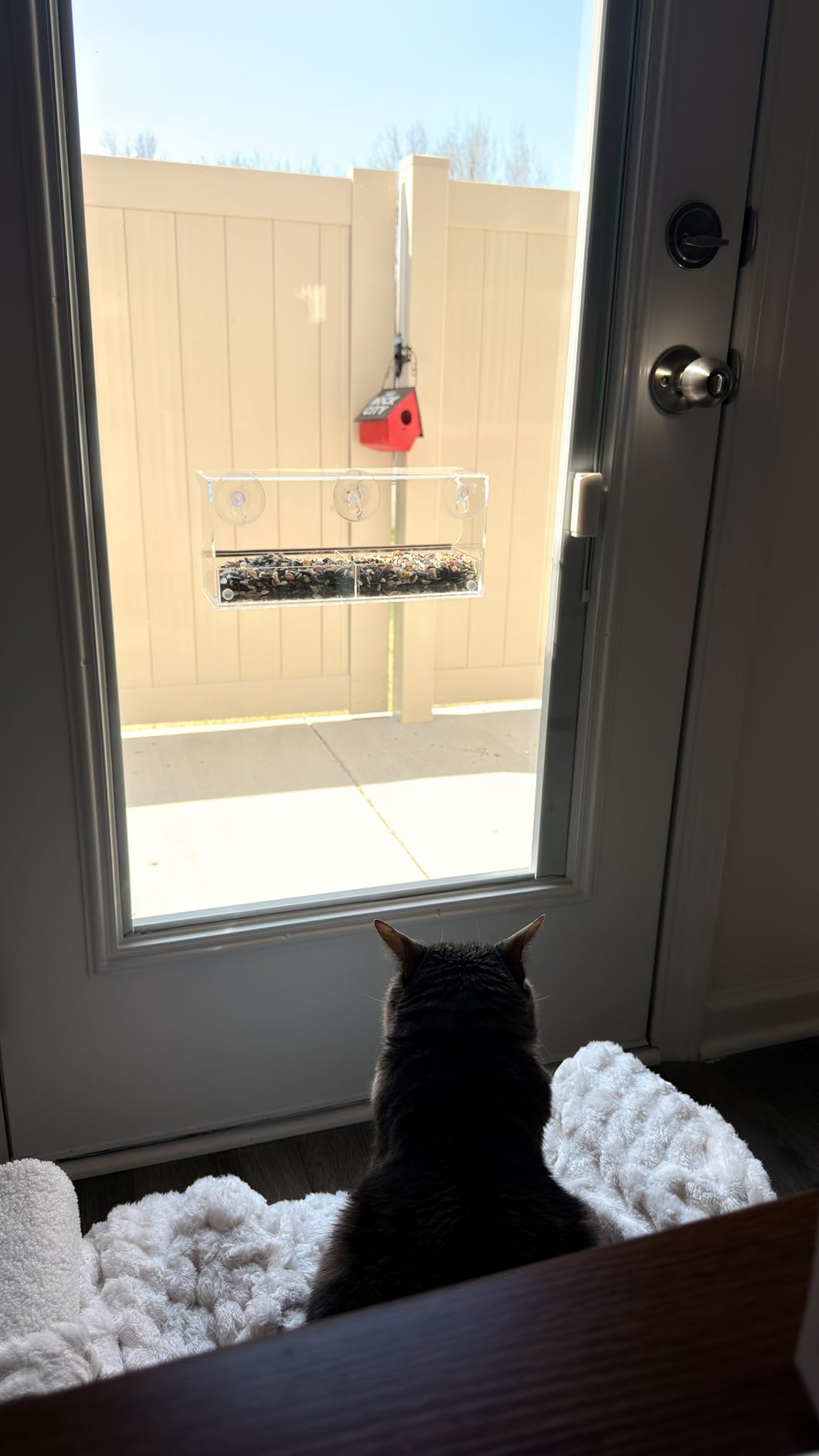 Window Bird Feeder by Nature's Hangout - No Assembly, Strong Suction Cups customer photo 2