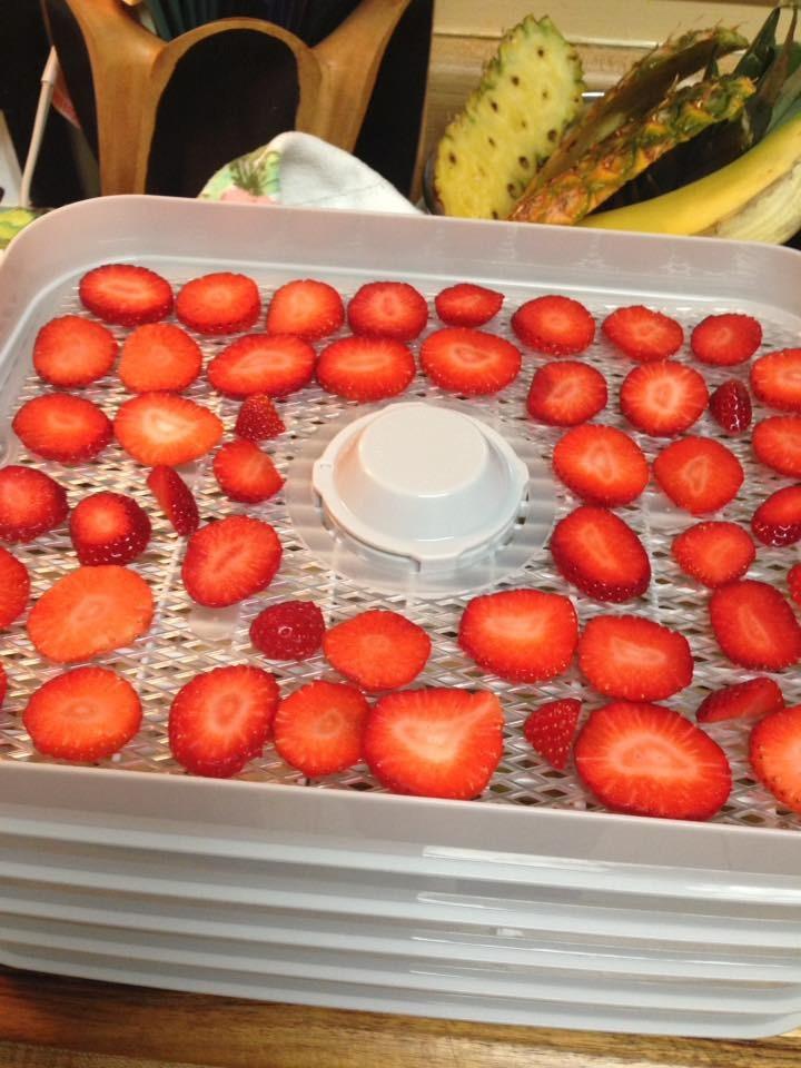 Hamilton Beach Digital Food Dehydrator for Fruit, Jerky, Vegetables & More customer photo 1