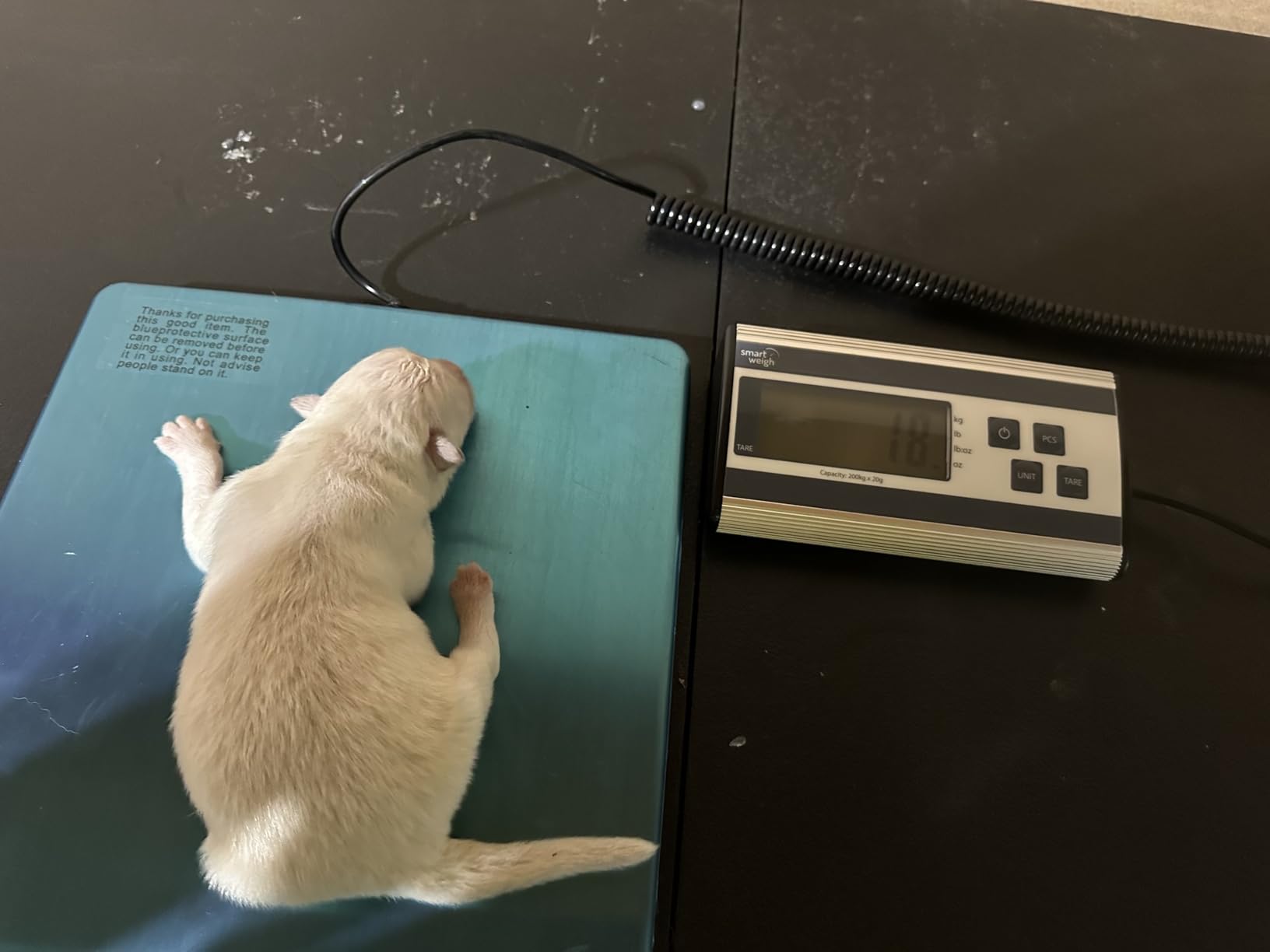 Smart Weigh Shipping Scale Digital Postal Scale for Packages 440lbs x 6 oz customer photo 2