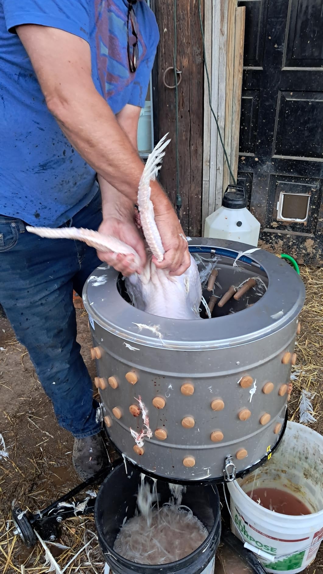 Yardbird 21833 Chicken Plucker, Stainless Steel, 1.5 HP Motor, 20-inch Drum, 110 Natural Soft Fingers, Integrated Irrigation Ring, Transport Wheels, Simple Debris Collection customer photo 2