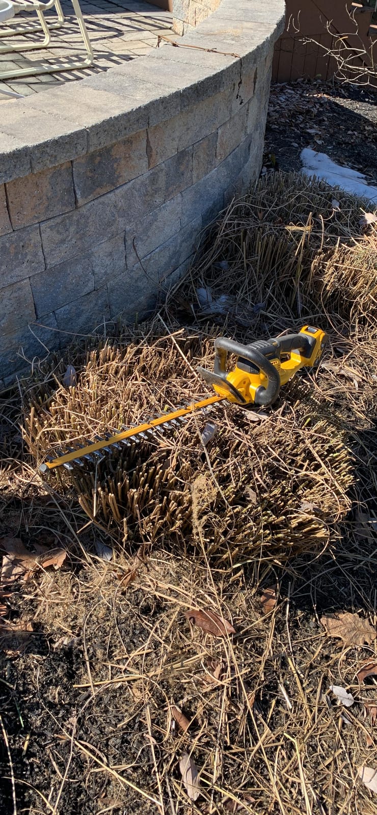 Dewalt Trimmer Hedge Bare 20V DCHT820B customer photo 1
