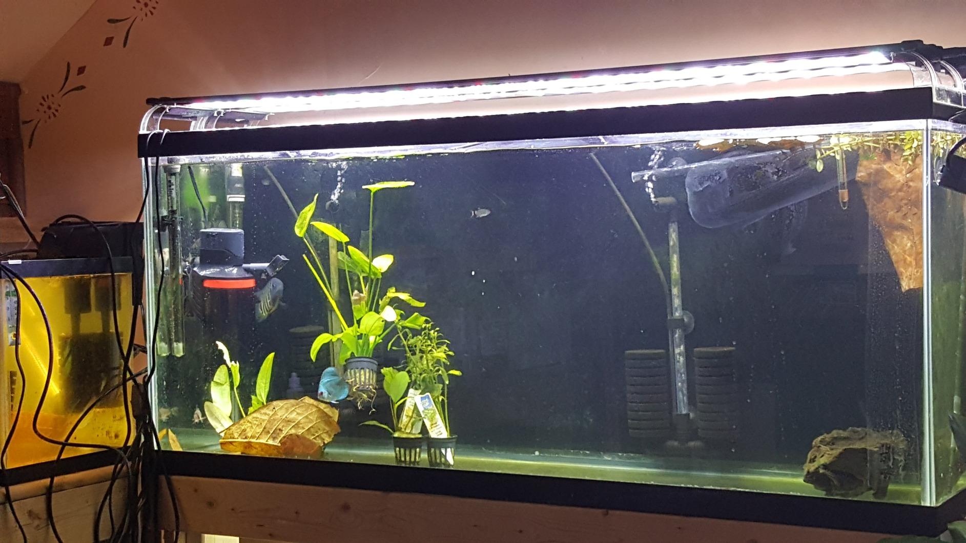 Marineland Magnum Polishing Internal Canister Filter, For Aquariums Up To 97 Gallons customer photo 1