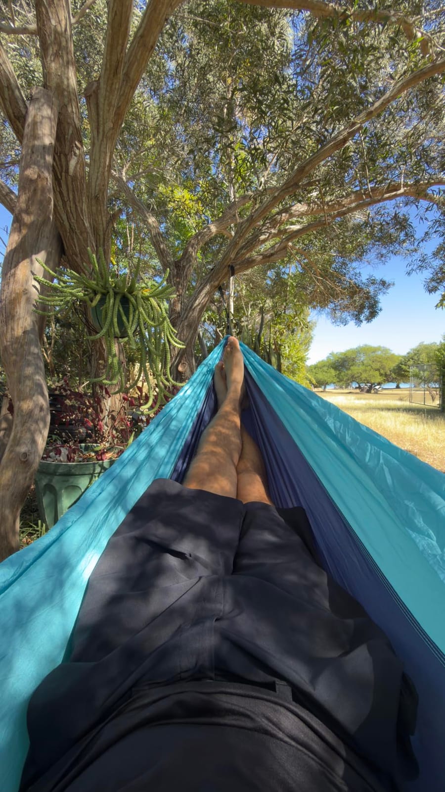 Wise Owl Outfitters Camping Hammock – up to 500lbs Portable Hammock with Tree Straps - Travel, Backpacking, Hiking, Outdoors Camping Gear - Single or Double customer photo 1