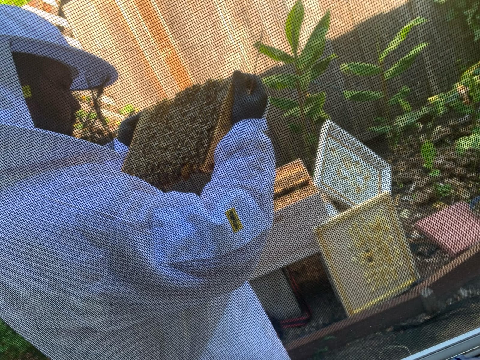 3 Layer Ventilated Bee Suit for Men & Women, Sting Proof Beekeeping Suit with Fencing & Round Veil, Professional Beekeeper Suit & Gear (L) customer photo 2