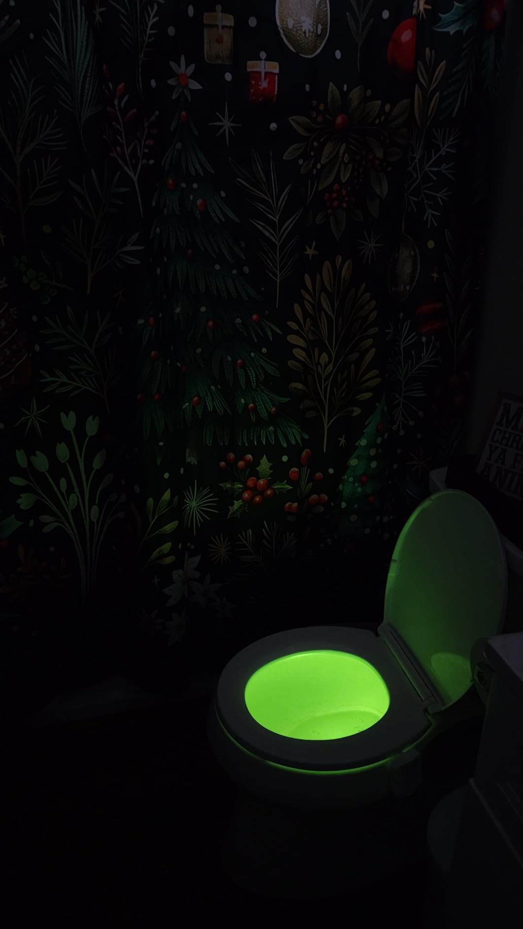 ToiLight The Original Toilet Bowl Night Light. Fun Useful Bathroom Motion Sensor Tech Gadget. Funny Novelty Birthday Gift Idea. Stocking Stuffer for Him, Her, Guys, Men, Mom, Brother customer photo 2