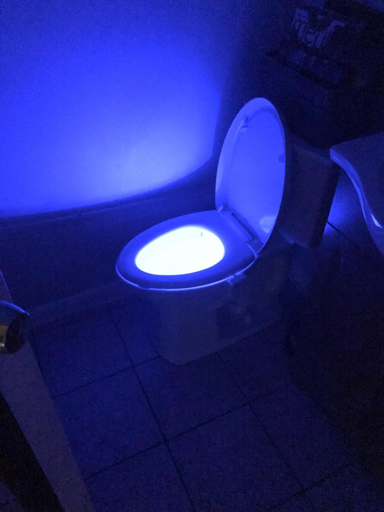 VINTAR Toilet Light Motion Sensor,16 Color Motion Sensor Toilet Night Light customer photo 2