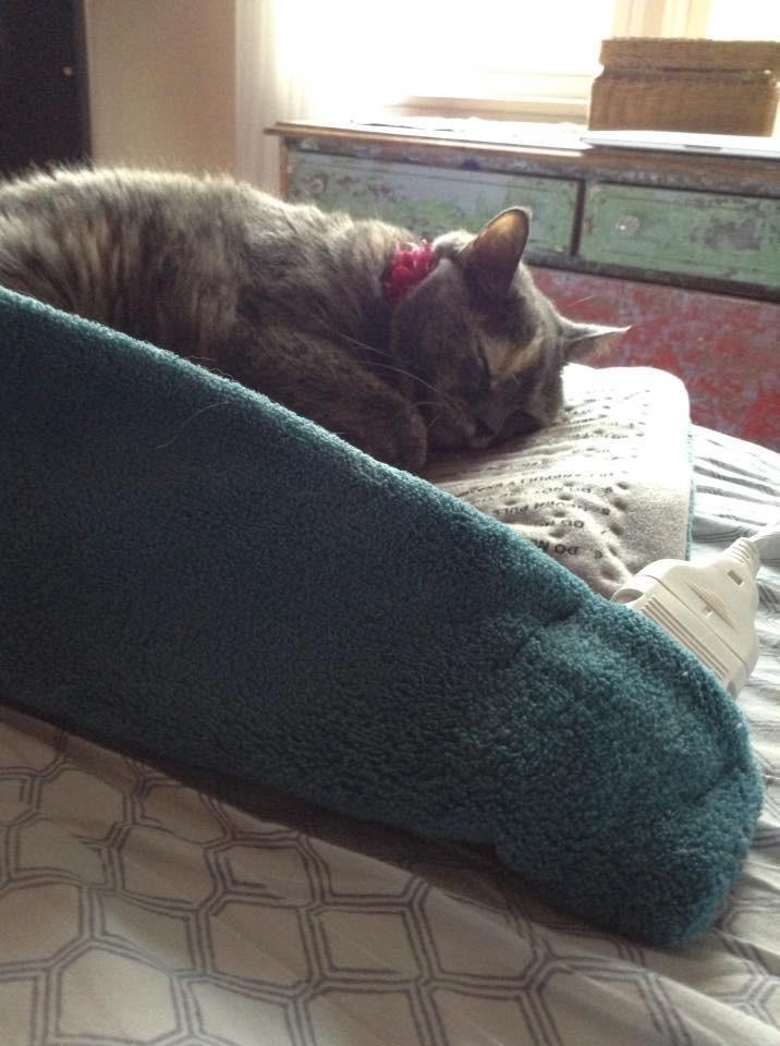 Pure Enrichment® PureRelief XL Heating Pad - 12