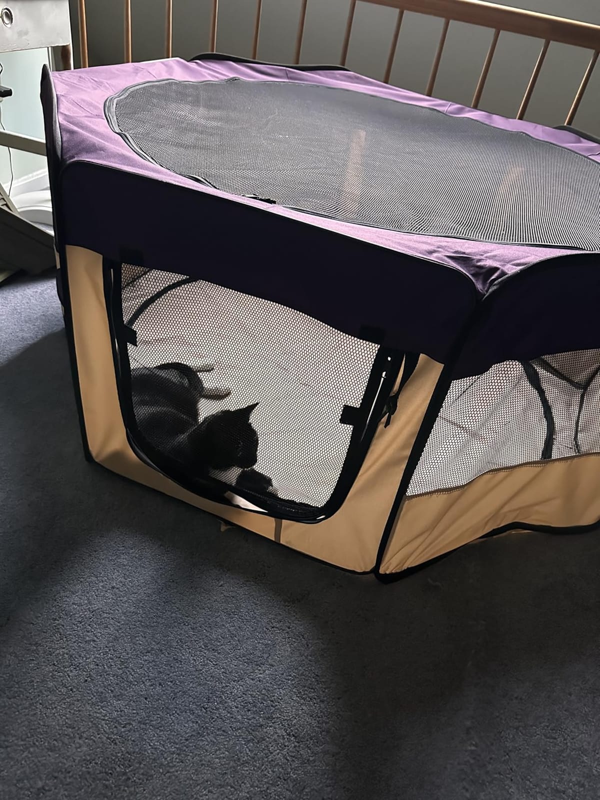 EliteField 2-Door Soft Pet Playpen for Dogs and Cats (2-Year Warranty) customer photo 1