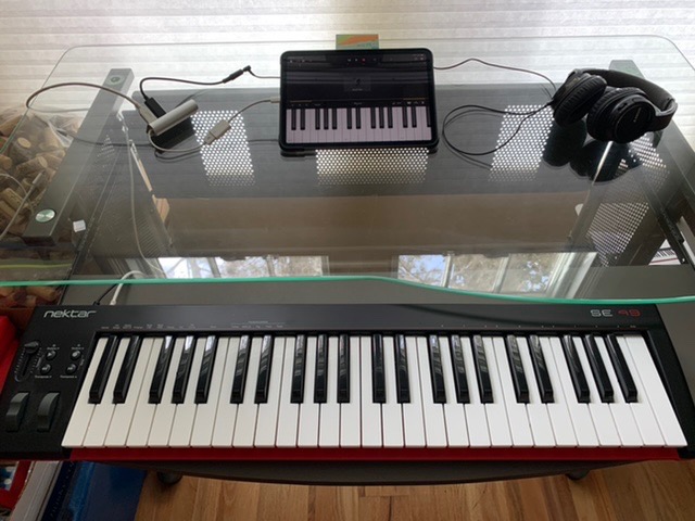 Nektar, 49-Key Midi Controller (SE49),Black white Grey customer photo 1