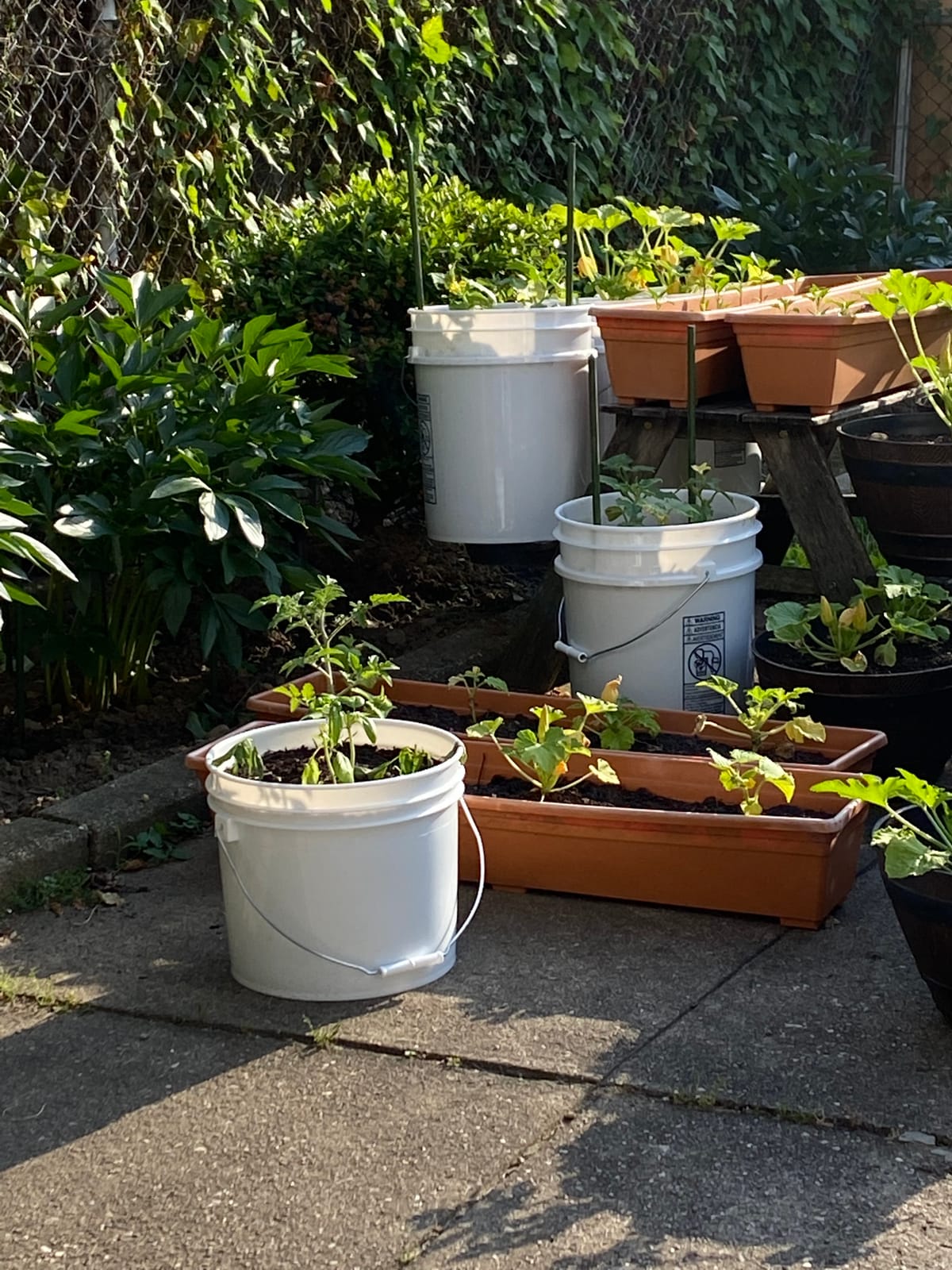 ePackageSupply 3.5 Gallon Bucket, Food Grade w/Lid BPA-Free, 6 Pack/White customer photo 1