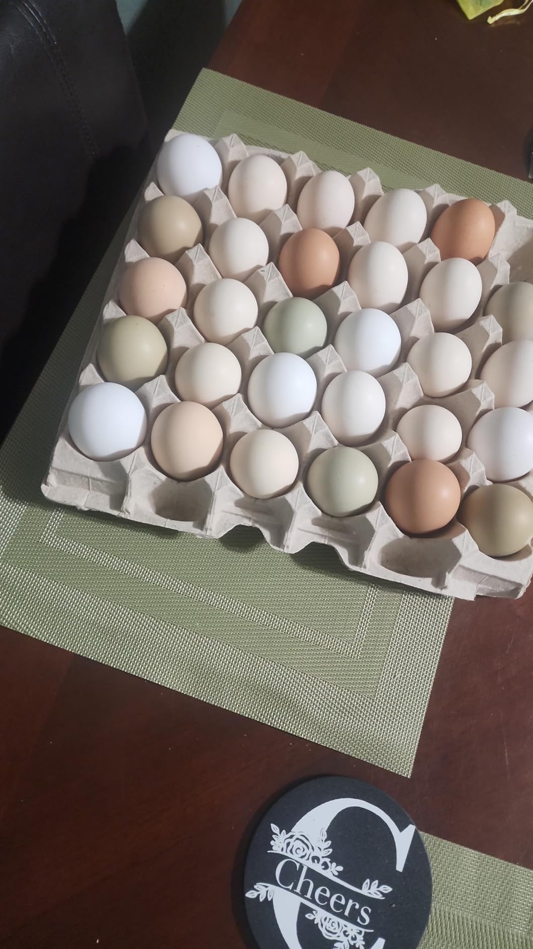 Biodegradable Pulp Fiber Egg Flats - 15 Pieces for Storing up to 30 Large or Small Eggs/Egg Crates That Make a Great Home for Roach Colony by MT Products customer photo 2