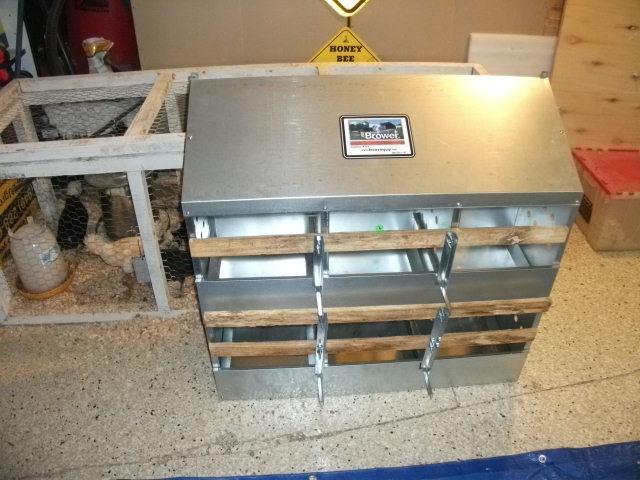 Brower 2-Tier 6-Hole Galvanized Steel Chicken Nesting Box, 30 to 40 Hen Capacity – Outdoor Poultry Laying Station with Hinged Folding Perches, Ventilated Design & Slanted Roof – Made in the USA customer photo 2