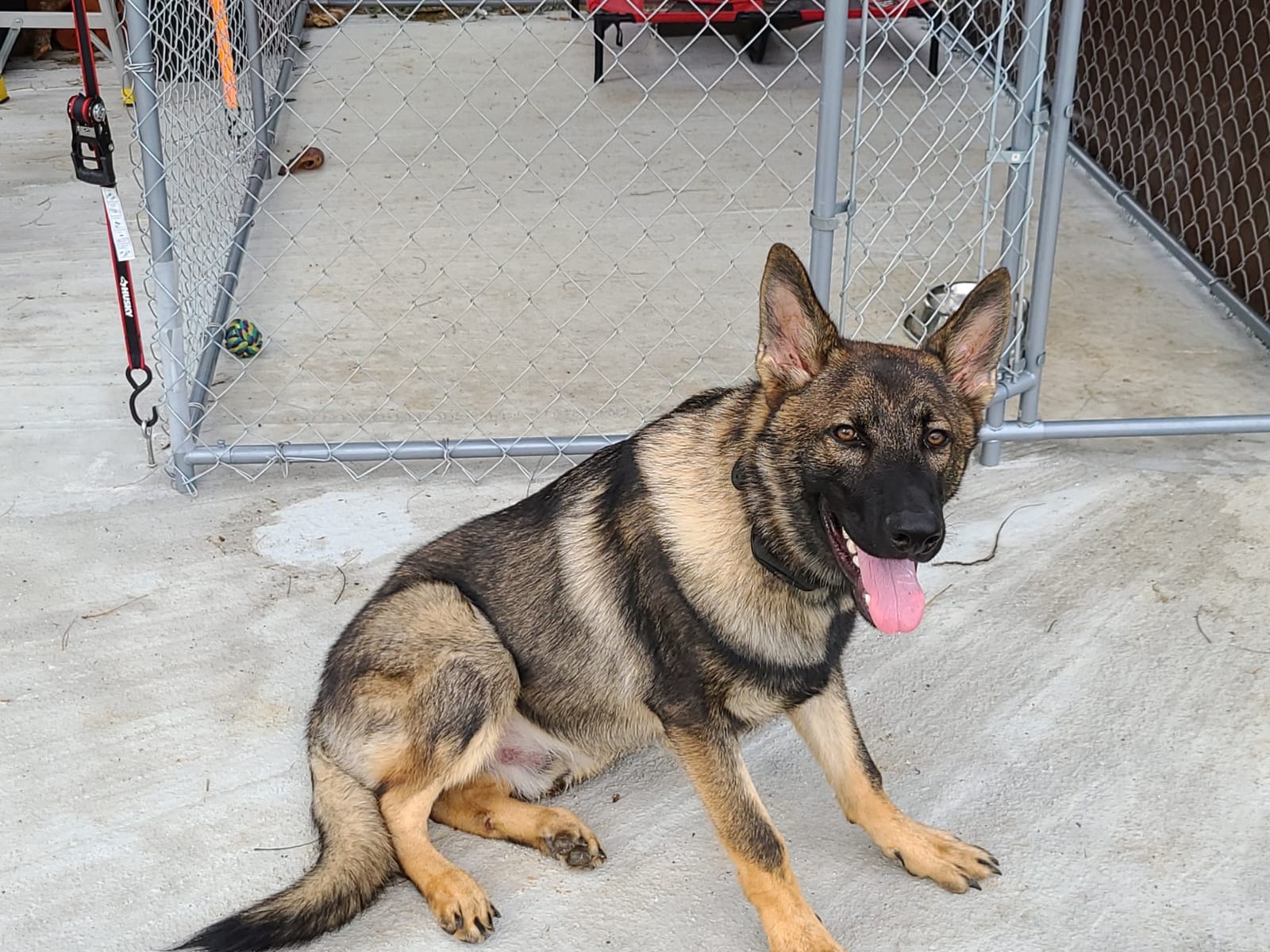 SportDOG Contain + Train System, Fence & Trainer, Up to 1 1/3 Acres customer photo 2