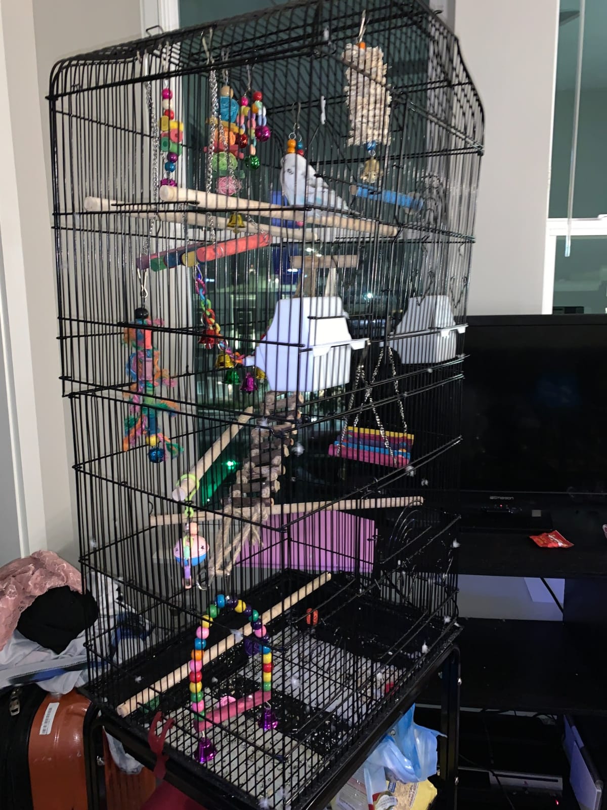 Yaheetech 64'' Open Top Bird Cage for Parakeets & Cockatiels, Black customer photo 2