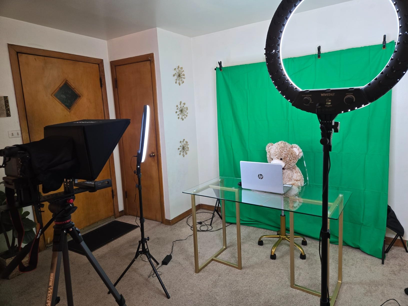 EMART Green Screen Backdrop Kit, 8.5x10FT Stand with 10x12FT Backdrop | Photography Background Support System with 100% Cotton Muslin Backdrop, 2Clamps for Photo Studio, Video Shooting, Live Stream customer photo 2