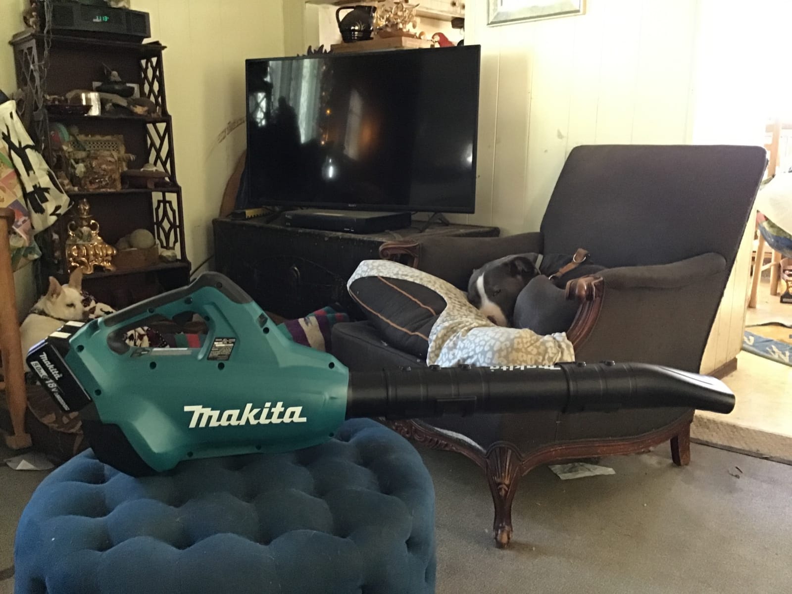 Makita XBU02PT1 36V (18V X2) LXT® Brushless Blower Kit with 4 Batteries (5.0Ah) customer photo 2