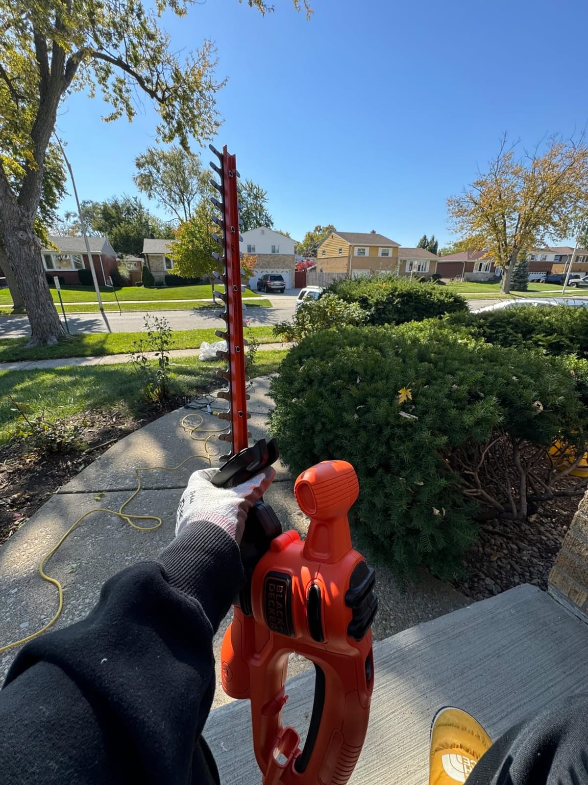 BLACK+DECKER Electric Hedge Trimmer, 16-Inch 3.0 Amp Compact Corded Power Hedge Trimmer (BEHT100) customer photo 1