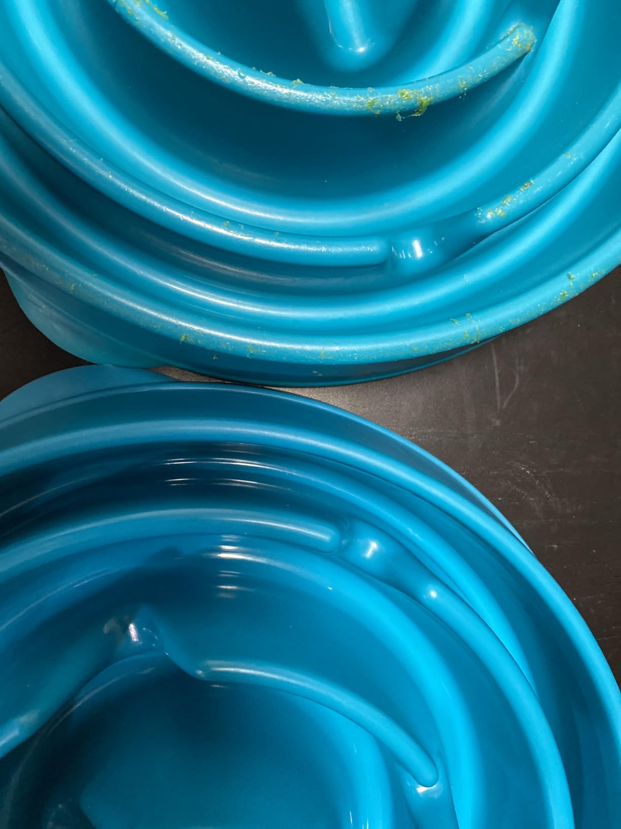 Outward Hound Fun Feeder Slo Bowl – Medium 2‑Cup Capacity, Slow Feeding, Small to Medium Dogs & Cats, Non-Slip, Blue, Notch Pattern customer photo 1