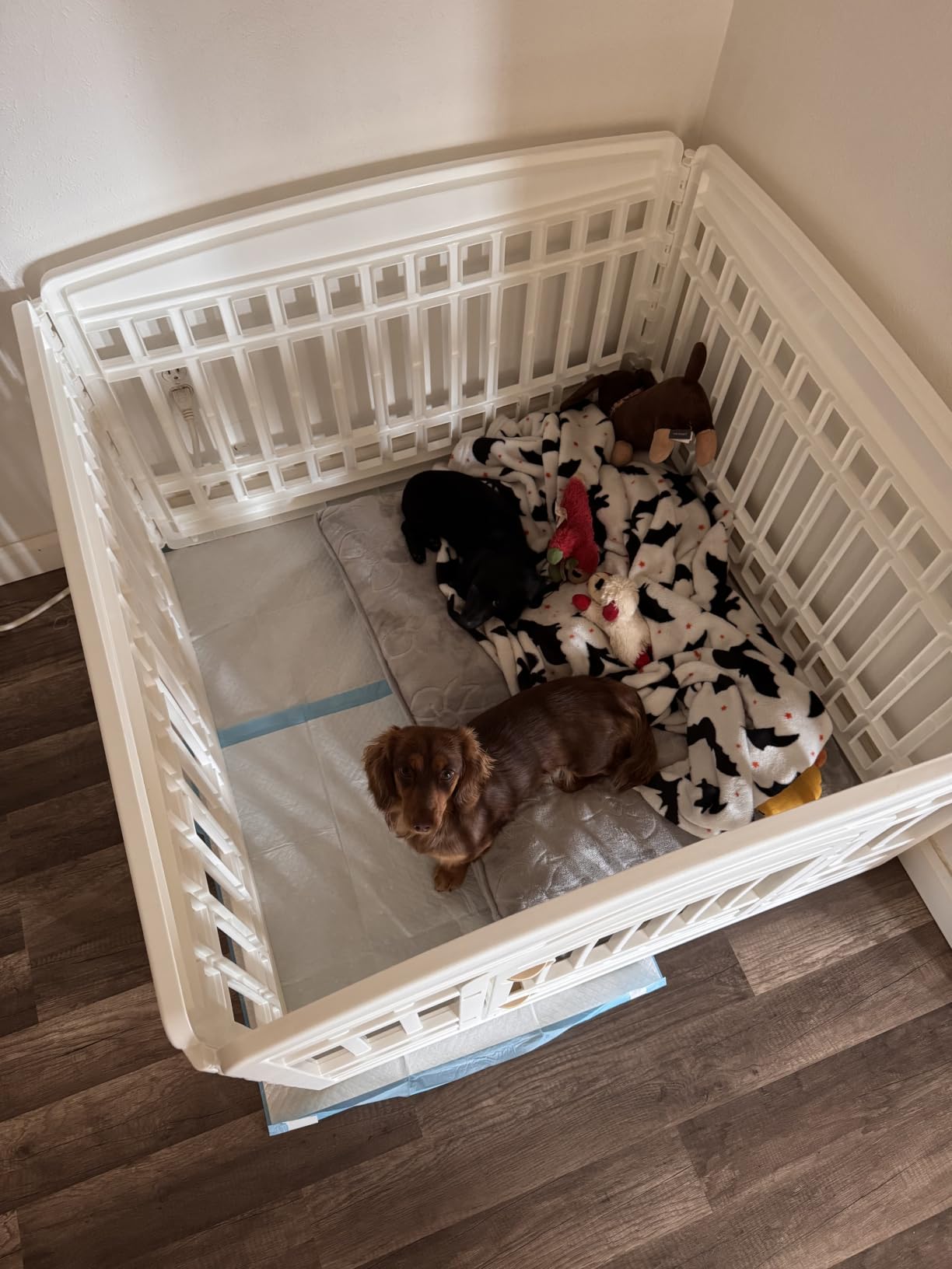 IRIS USA 4-Panel Dog Playpen, Pet Enclosure, White customer photo 1