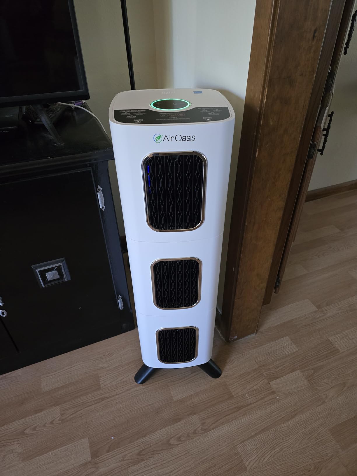 Air Oasis iAdaptAir 2.0 H13 HEPA Filter Air Purifier Reduces 99% of Viruses, Mold, Dust, Smoke, Pollen & Odors Quietest on The Market WiFi Compatible 3,975 Sq Ft of Clean Air customer photo 1