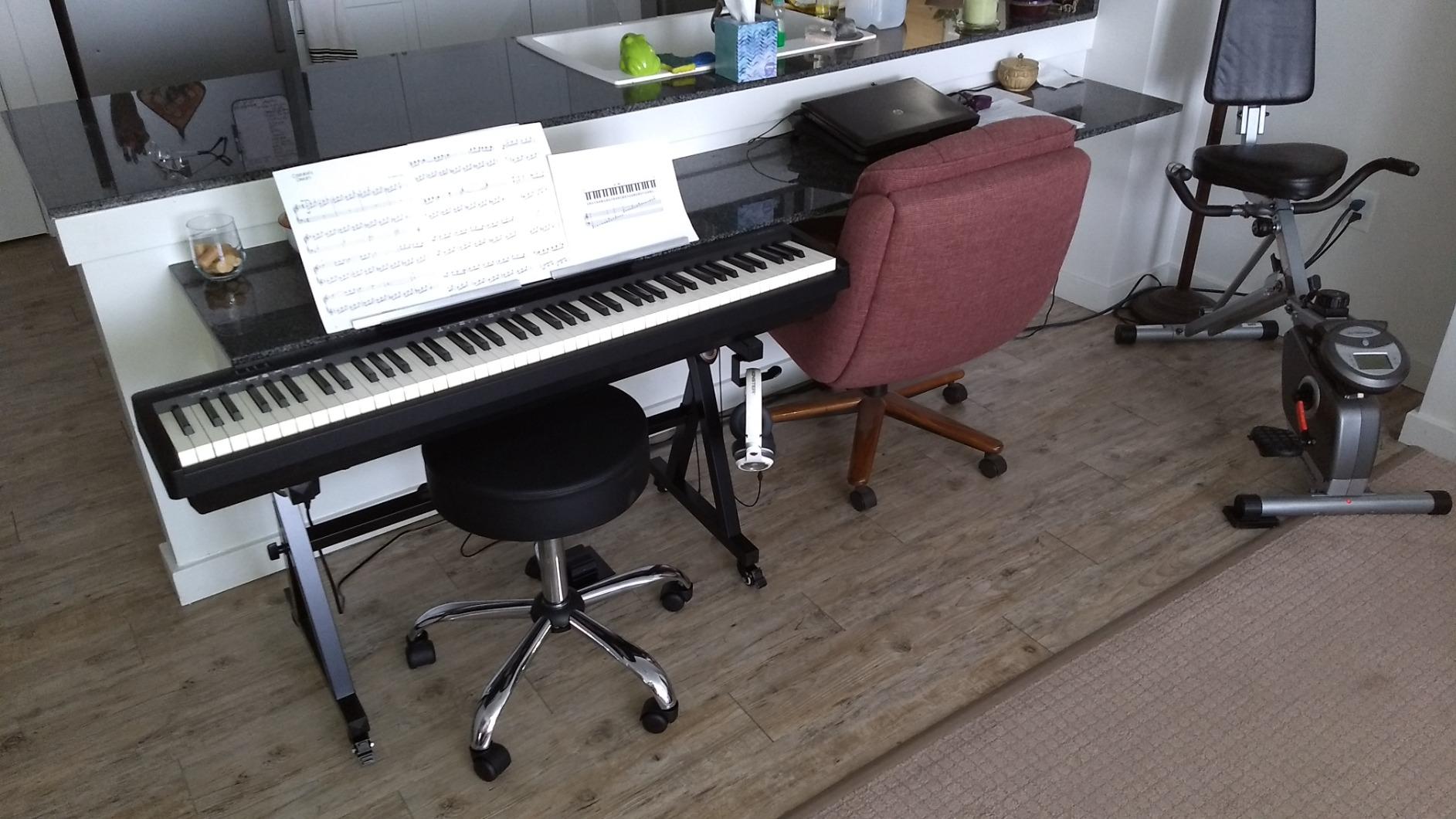 Roland FP-10 Compact 88-Note Digital Piano customer photo 1
