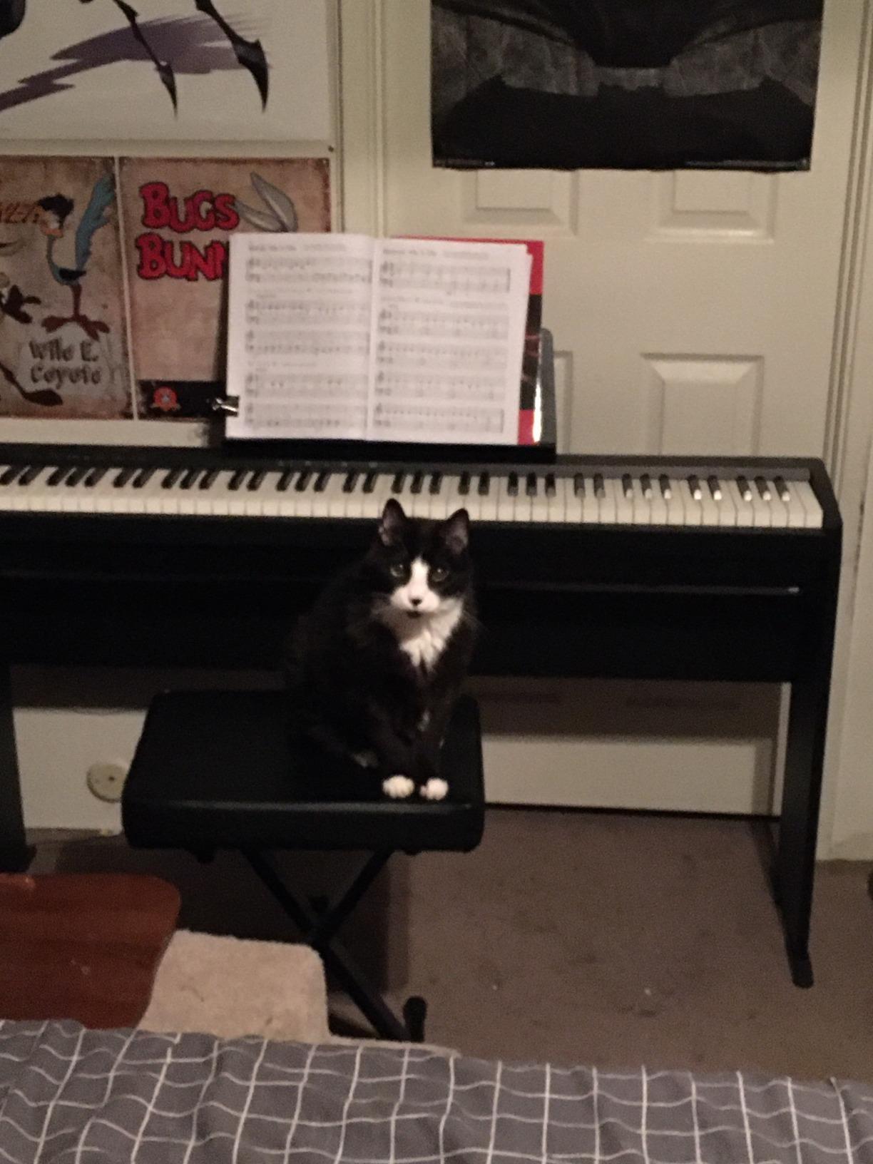 Roland FP-10 Compact 88-Note Digital Piano customer photo 2