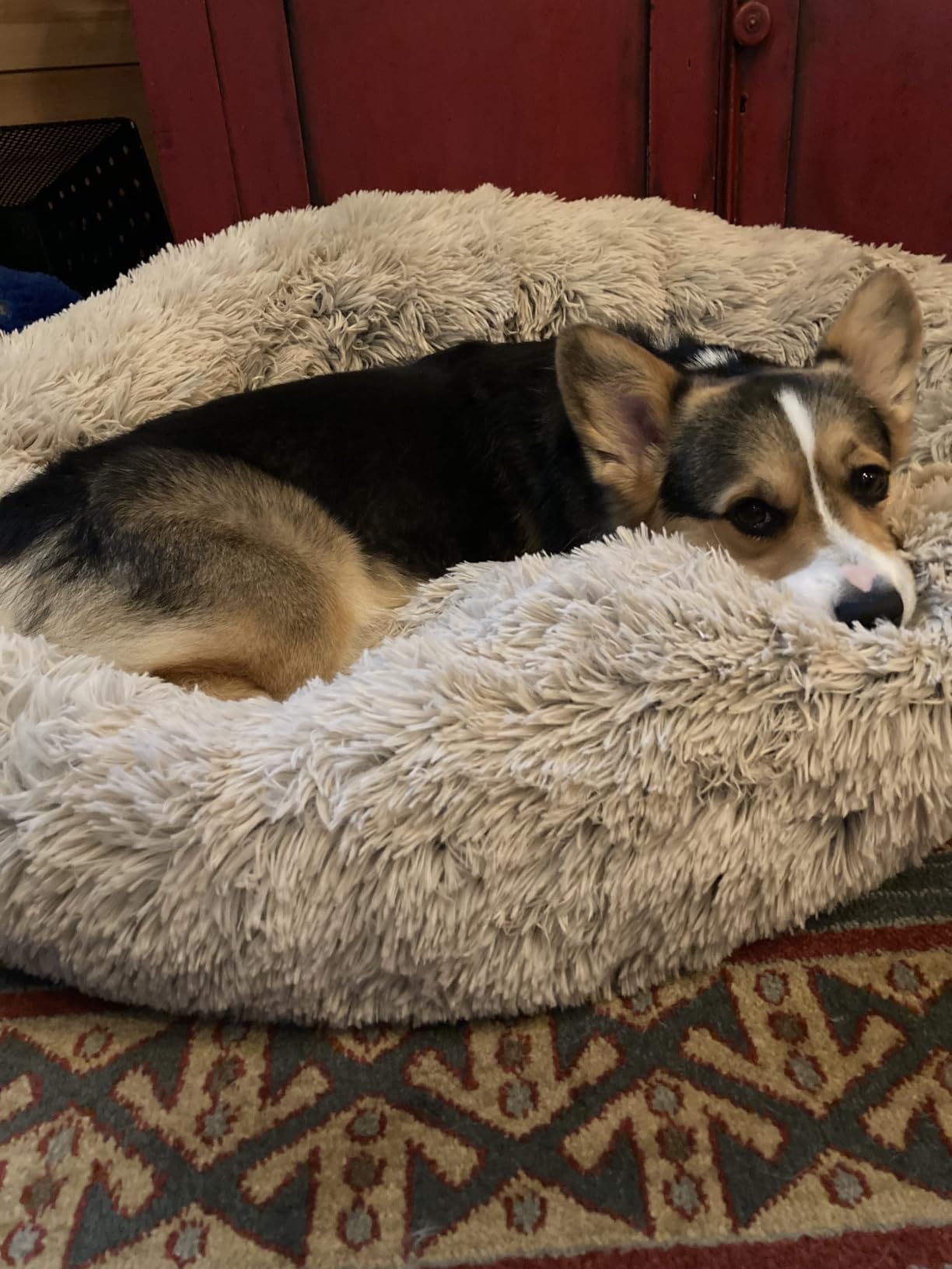 Best Friends by Sheri Original Calming Donut Dog Bed, Taupe, Medium, 30