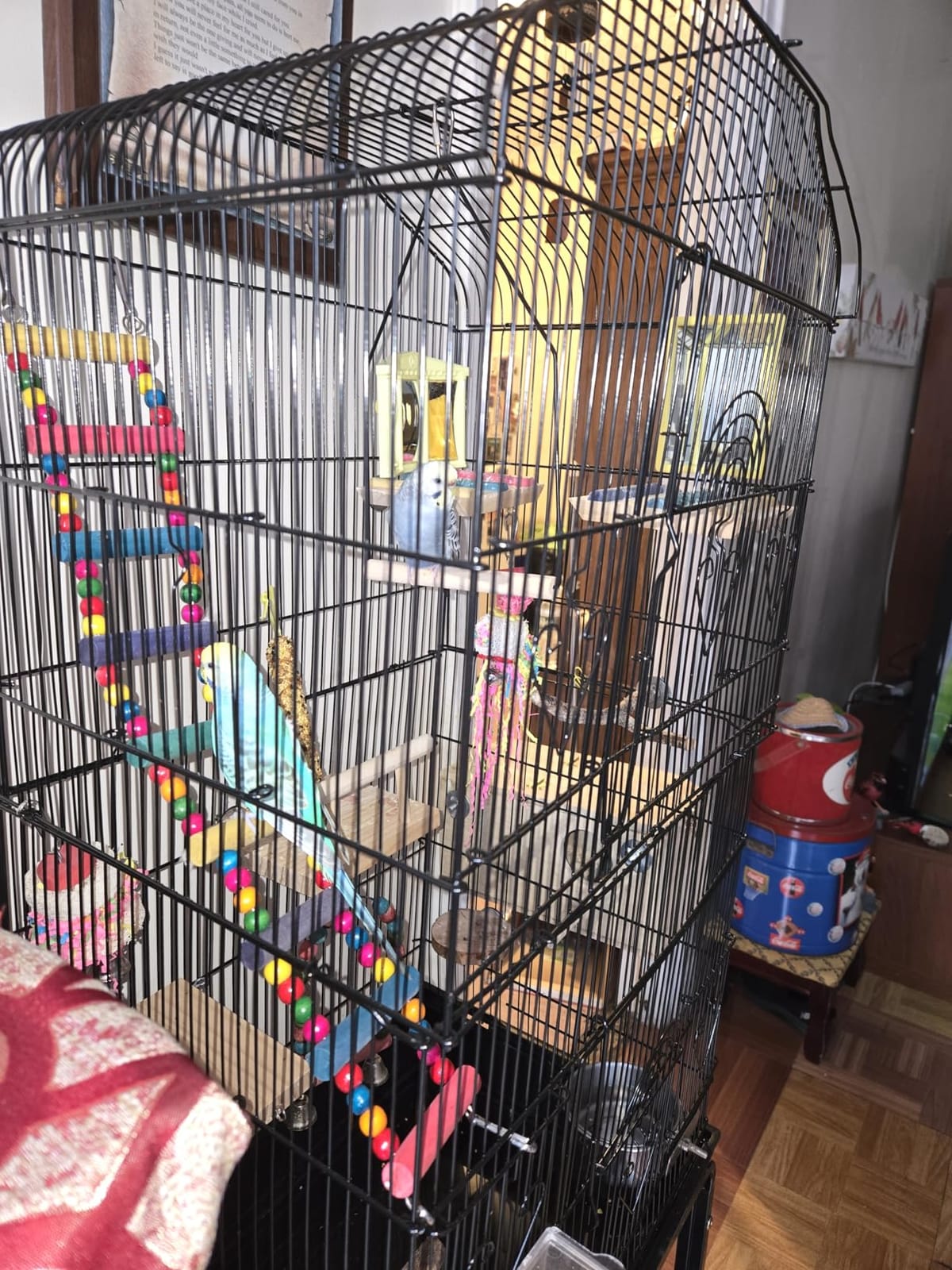 SUPER DEAL 59.3 Rolling Bird Cage Large Wrought Iron Cage for Cockatiel Sun Conure Parakeet Finch Budgie Lovebird Canary Medium Pet House with Rolling Stand & Storage Shelf customer photo 1