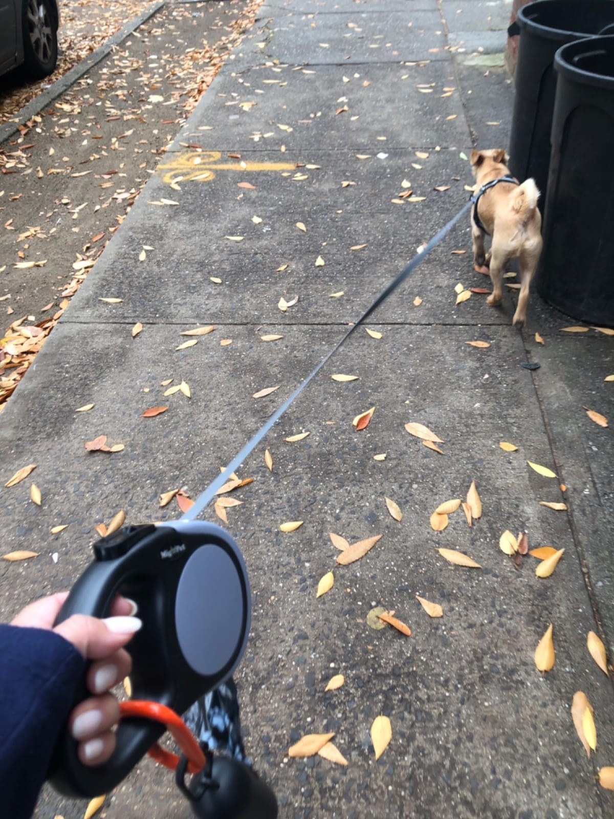Heavy Duty Retractable Dog Leash-16ft Strong & Durable Walking Leash for S to L Dogs up to 45/115 lbs, Upgraded Lock System, Non Slip Grip, Tangle Free (Purple, Small/Medium) customer photo 2
