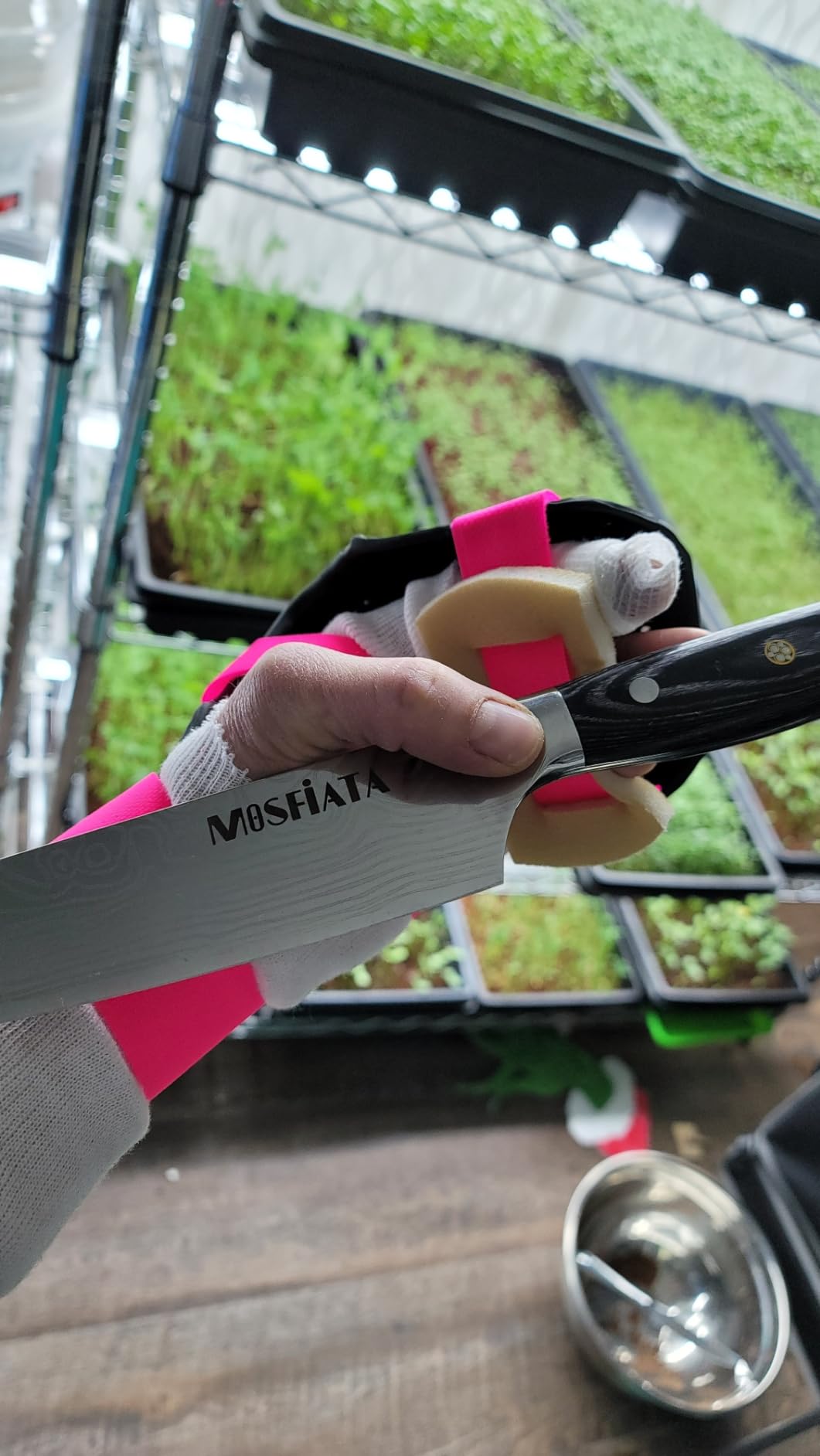MOSFiATA 8