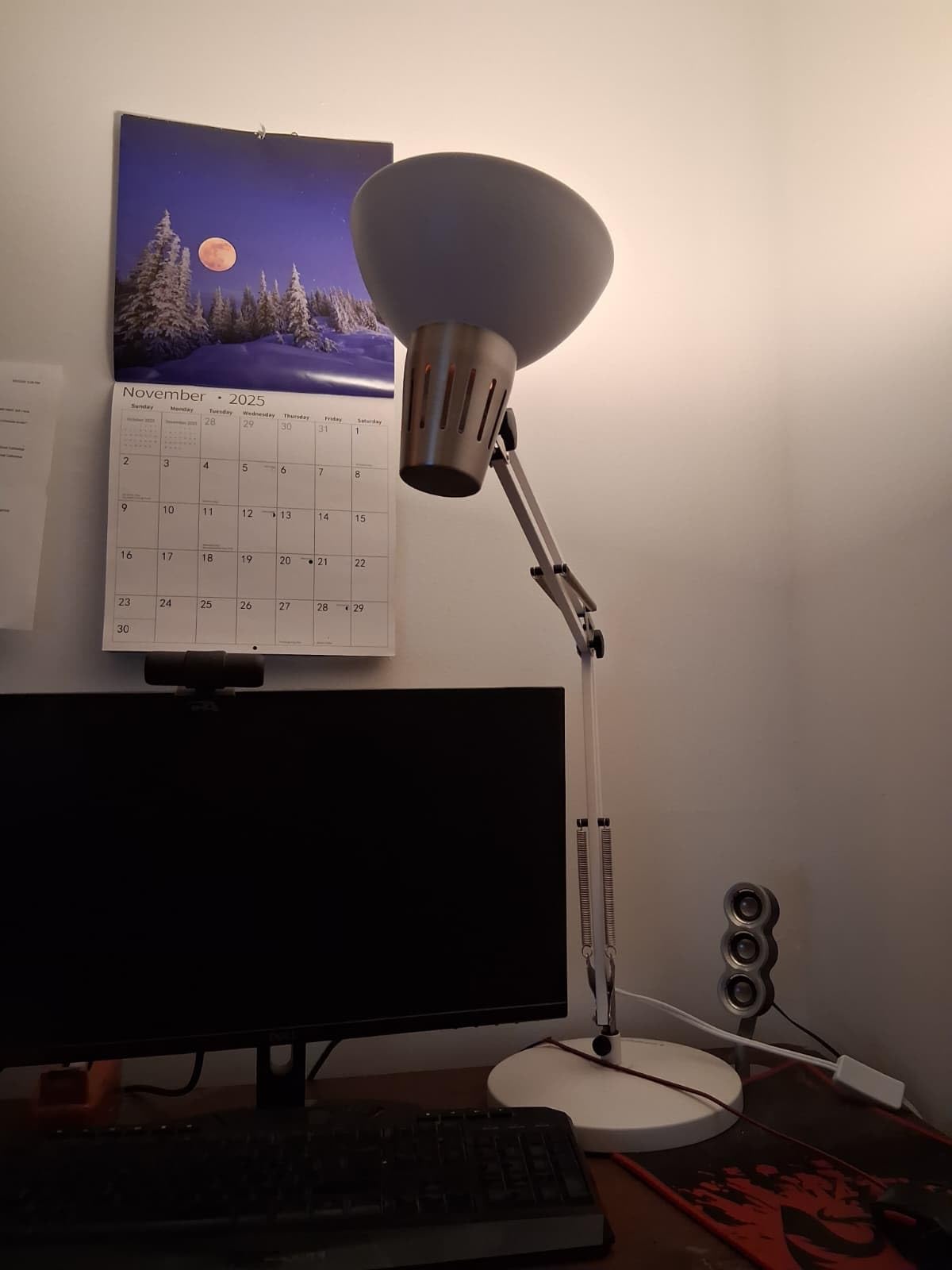 LEPOWER Metal Adjustable Desk Lamp with Clamp, Swing Arm for Home Office customer photo 2