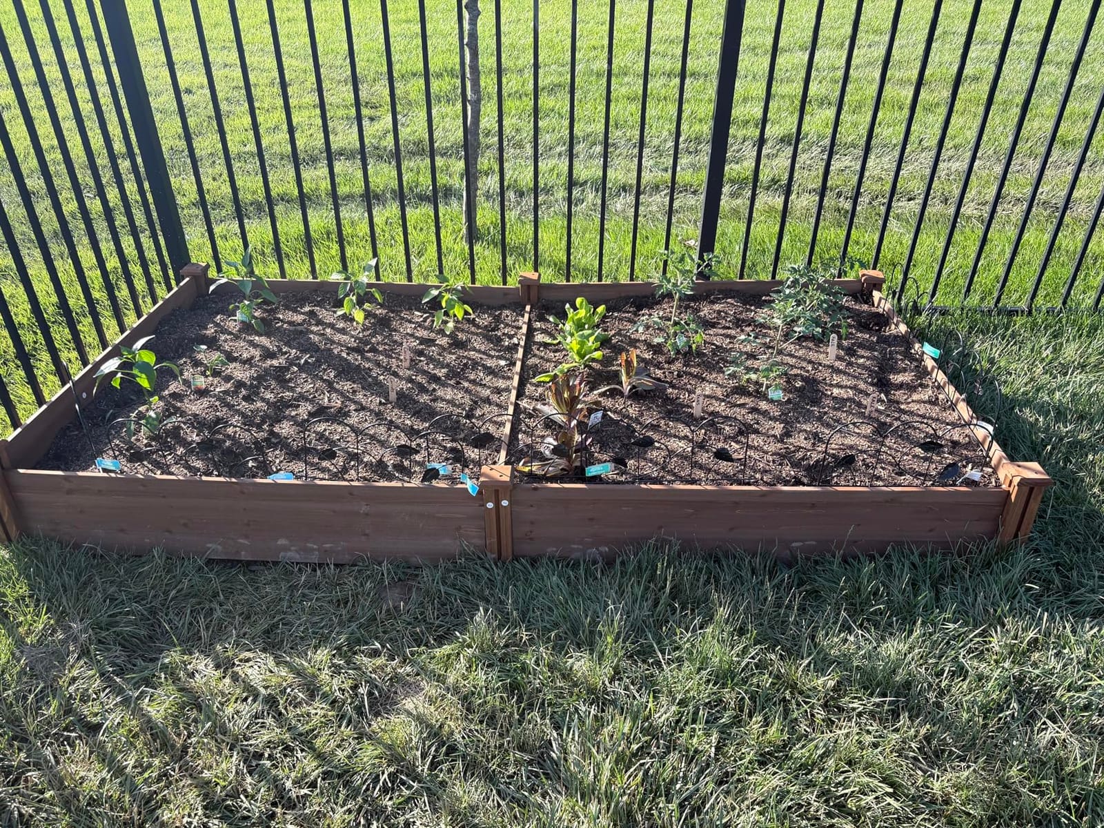 Yaheetech Raised Garden Bed Wooden Planter Box for Vegetables/Flowers, Wood customer photo 1