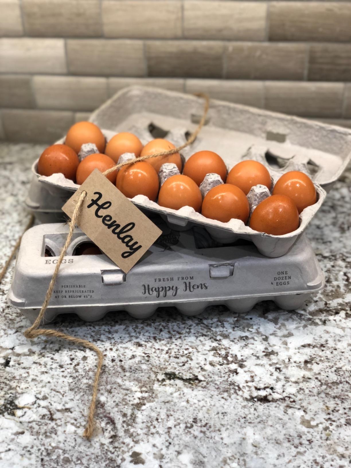 Egg Cartons- Adorable Printed Design for Farm Fresh Eggs, Recycled Paper Cardboard, Sturdy & Reusable, Holds up to XL Chicken Eggs (Blank Stamping, 25) customer photo 1