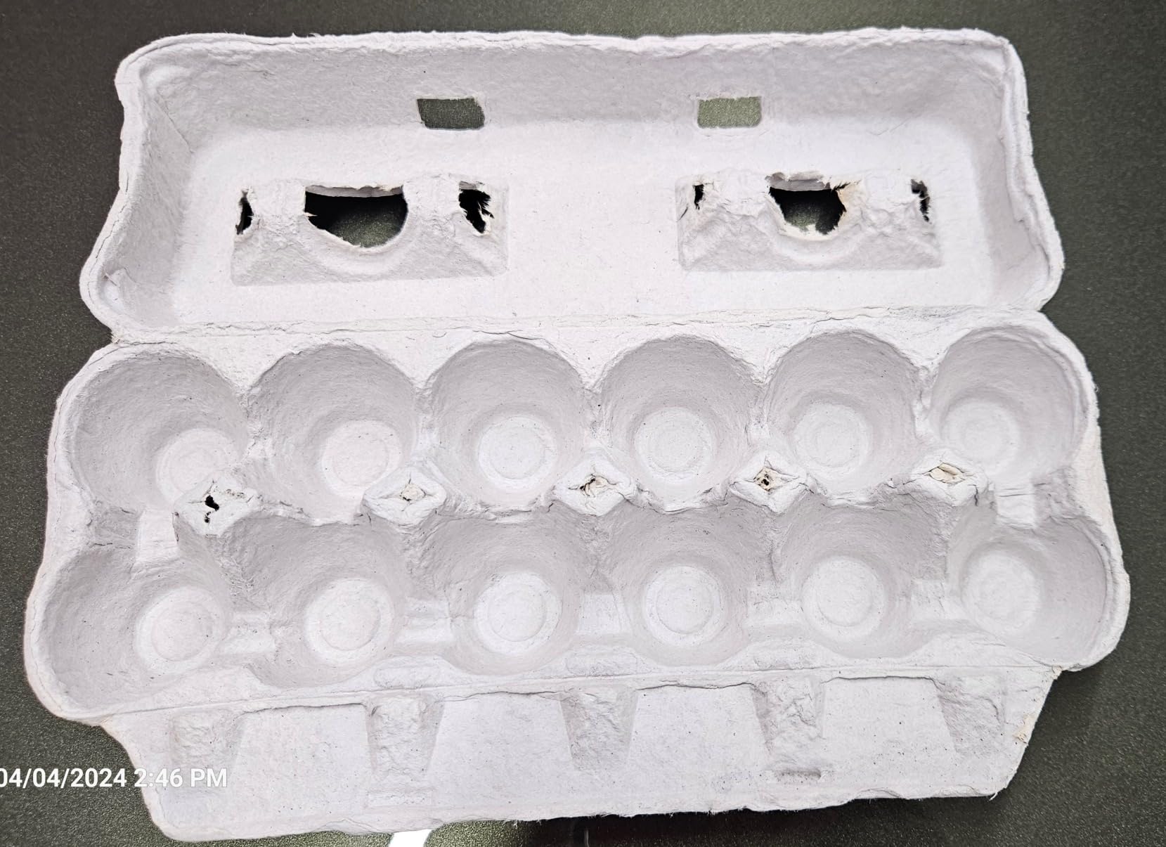 Egg Cartons- Adorable Printed Design for Farm Fresh Eggs, Recycled Paper Cardboard, Sturdy & Reusable, Holds up to XL Chicken Eggs (Blank Stamping, 25) customer photo 2