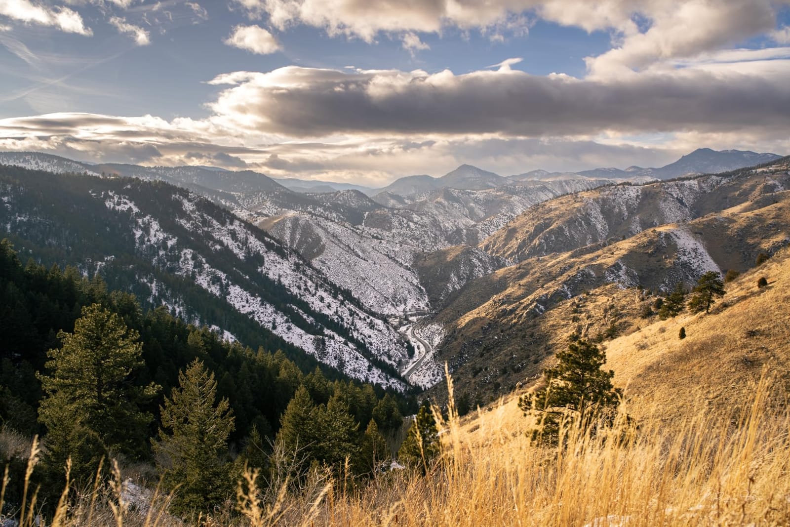 Tamron 20mm f/2.8 Di III OSD M1:2 Lens for Sony Full Frame/APS-C E-Mount customer photo 2