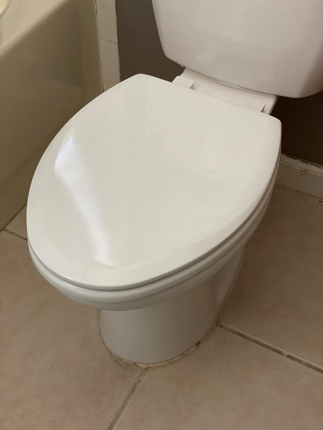 Mayfair NextStep2 Toilet Seat with Built-In Potty Training Seat, Slow-Close, Removable that will Never Loosen, Elongated, White customer photo 1