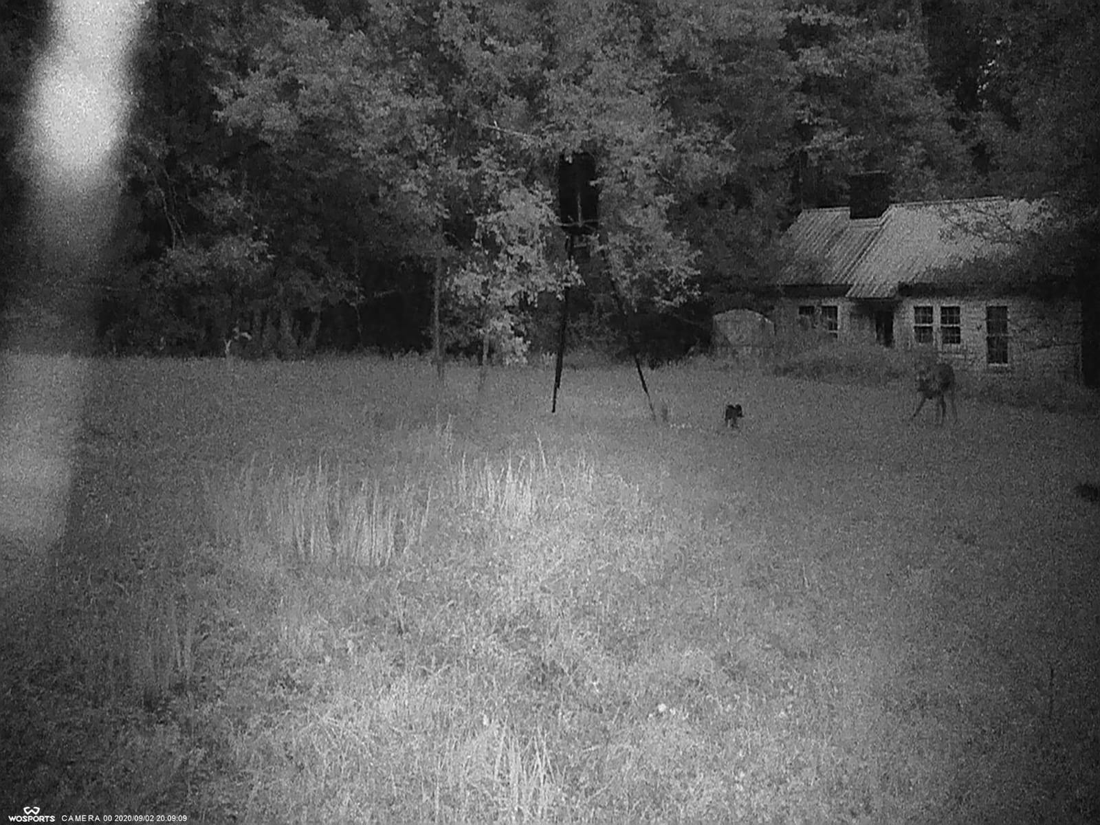WOSPORTS Mini Trail Camera,30MP 1080P HD Game Camera Motion Activated with IR Night Vision Waterproof Video Deer Cam for Outdoor Wildlife Monitoring customer photo 2