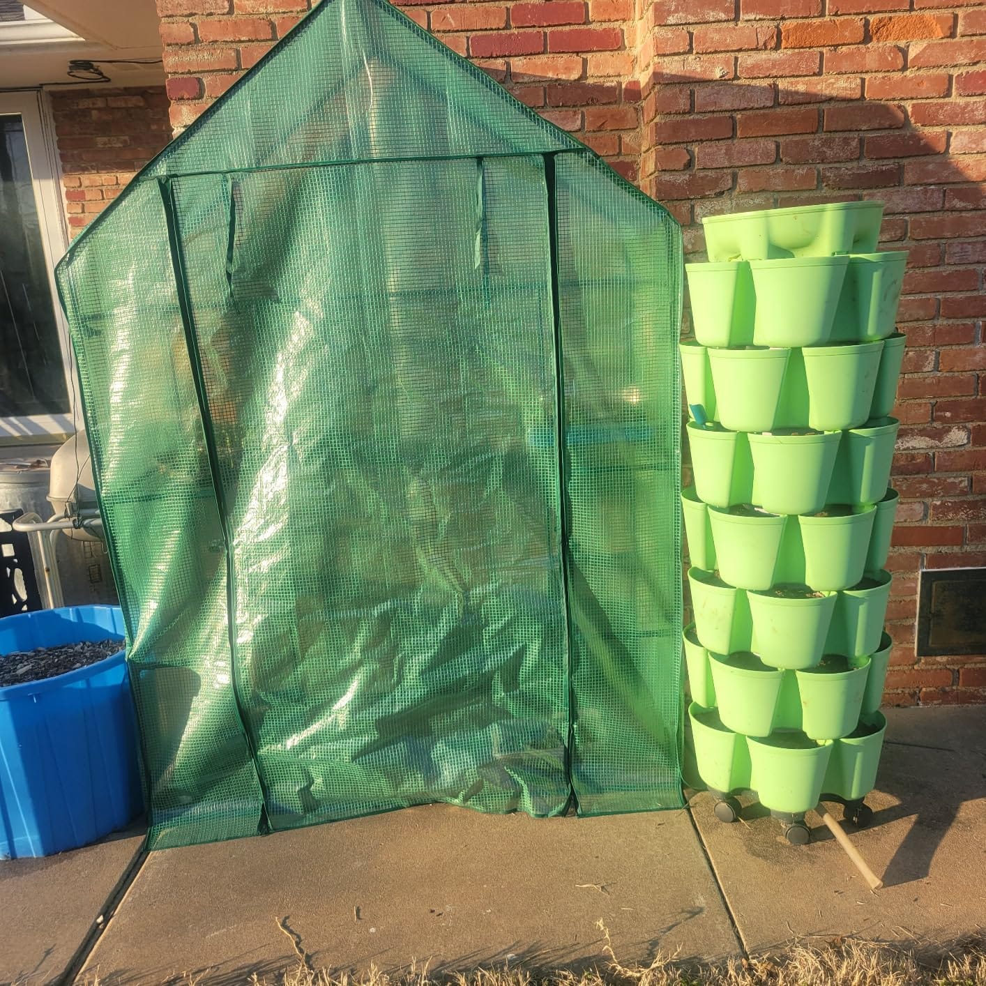 Portable Walk-in Greenhouse for Outdoors, 56x30x76 Plant House with Shelves customer photo 2