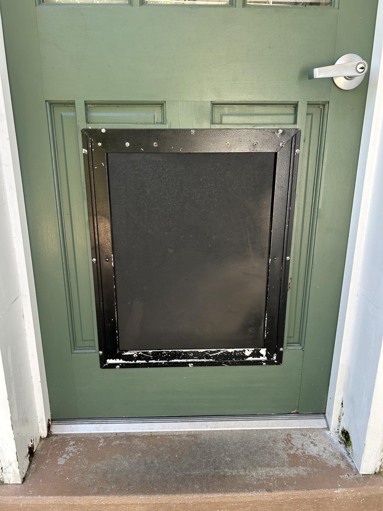 PetSafe Extreme Weather Aluminum Dog Door, 3-Flap Insulated, X-Large | Energy-Efficient, Blocks 3x More Thermal Loss, Reinforced Aluminum Frame, Magnetic Seal on Flap customer photo 2