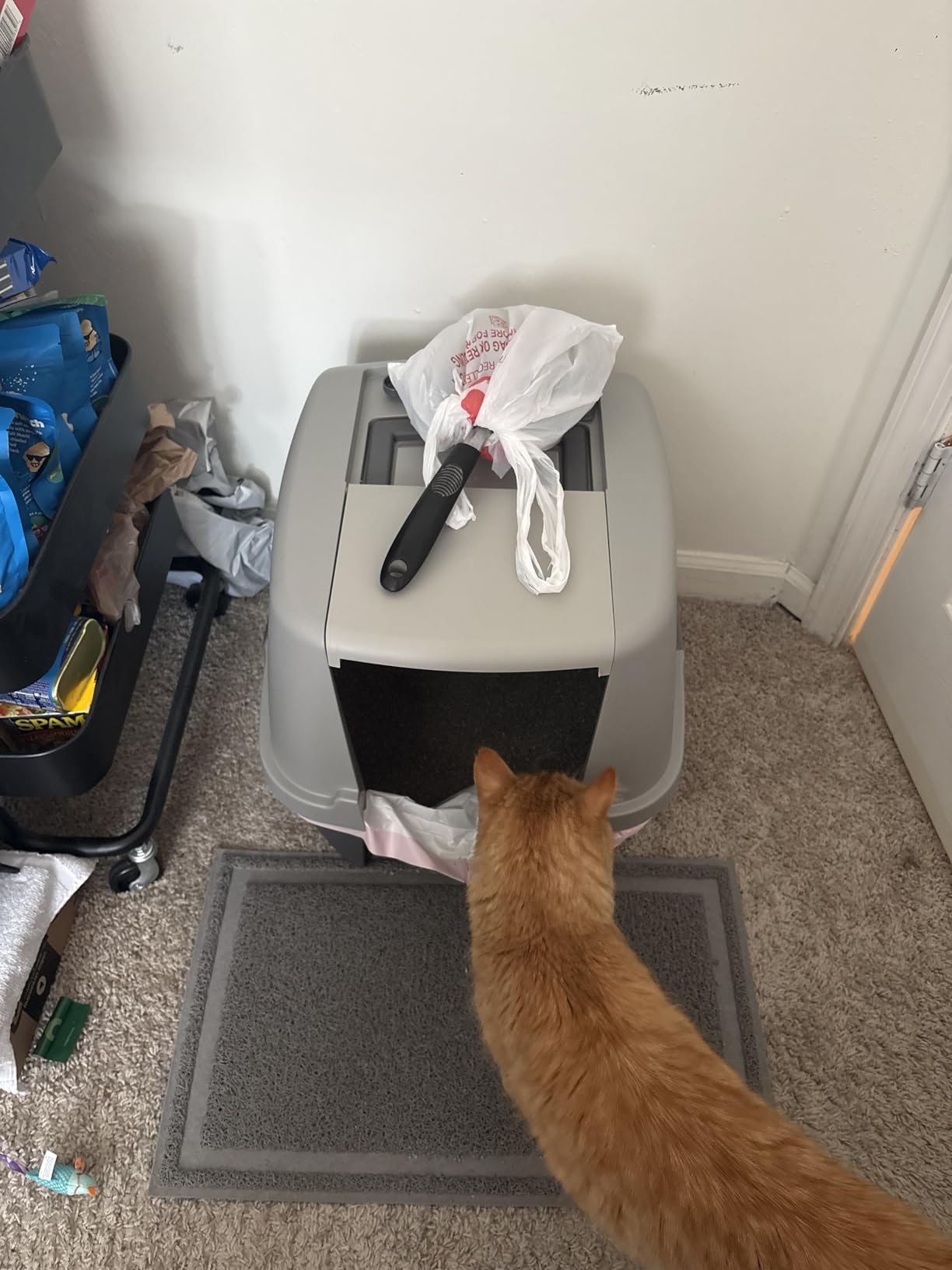 IRIS USA Large Corner Cat Litter Box, Space Saver, Dark Gray customer photo 1