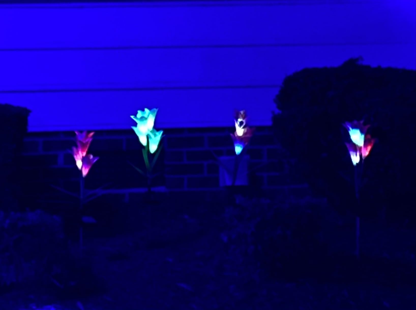 KOOPER Outdoor Solar Lights, 4 Pack Solar Garden Light with Bigger Lily Flowers, Waterproof 7 Color Changing Solar Lights Outdoor - Bigger Panel for Patio Yard Garden Decoration, Gift for Mom customer photo 1