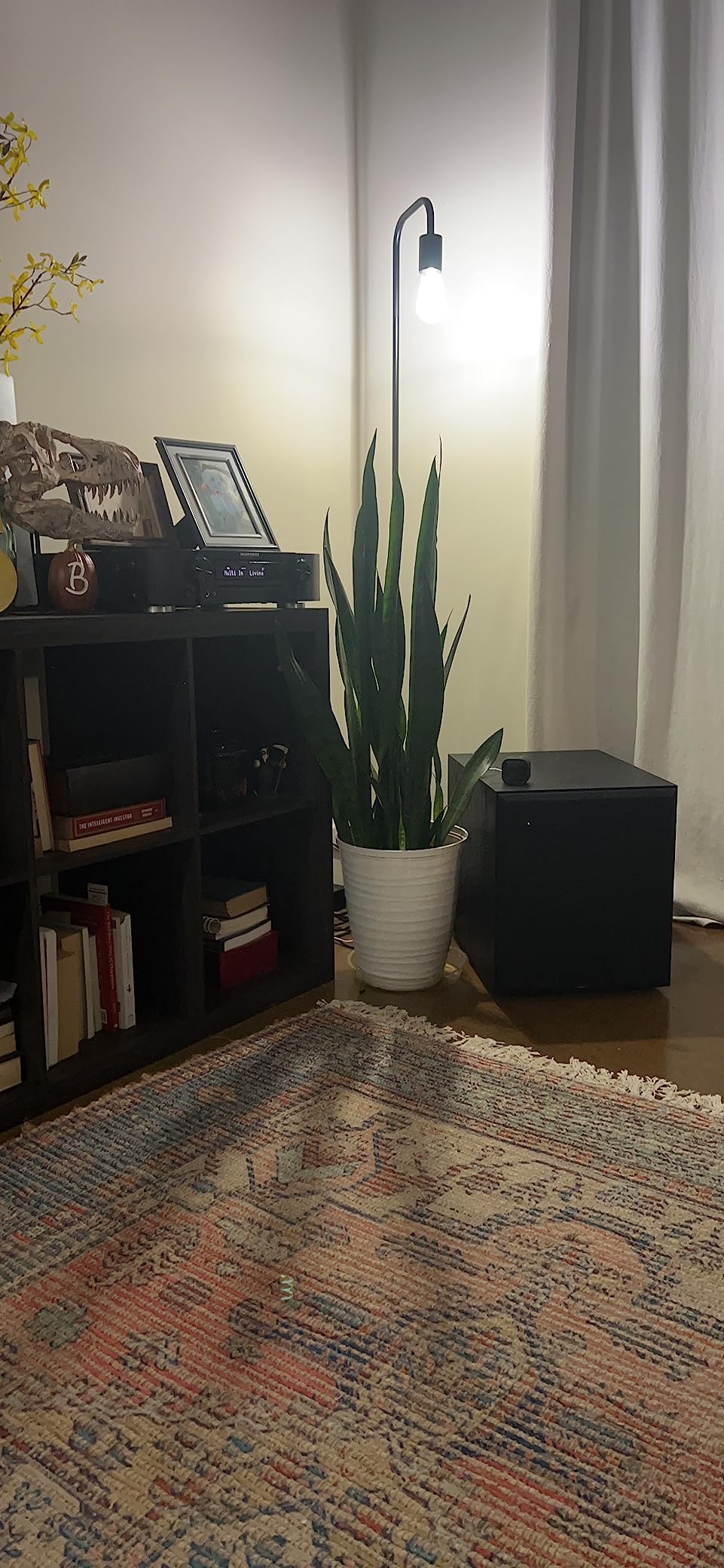 Klipsch Synergy Black Label Sub-120 12” Front-Firing Subwoofer with 200 Watts of continuous & 400 watts of Dynamic Power, and Digital Amplifier for Powerful Home Theater Bass in Black customer photo 1