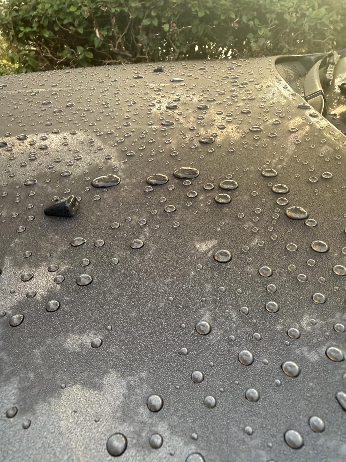 Griot’s Garage Ceramic 3-in-1 Wax, SiO2 Spray for Cars, Trucks, and RV’s, Provides Protection and Water Beading on Paint, Wheels, Plastic, Rubber Trim, Chrome, and More, 10978, 22 oz customer photo 1
