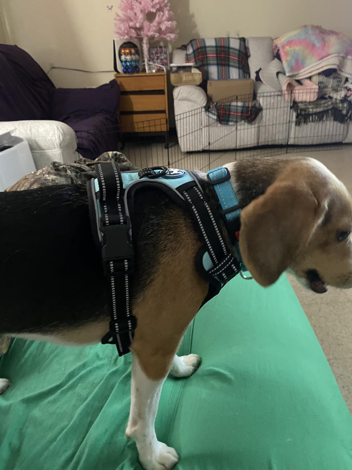 PoyPet No Pull Dog Harness Medium, Reflective Vest with Front Clip & Handle customer photo 1