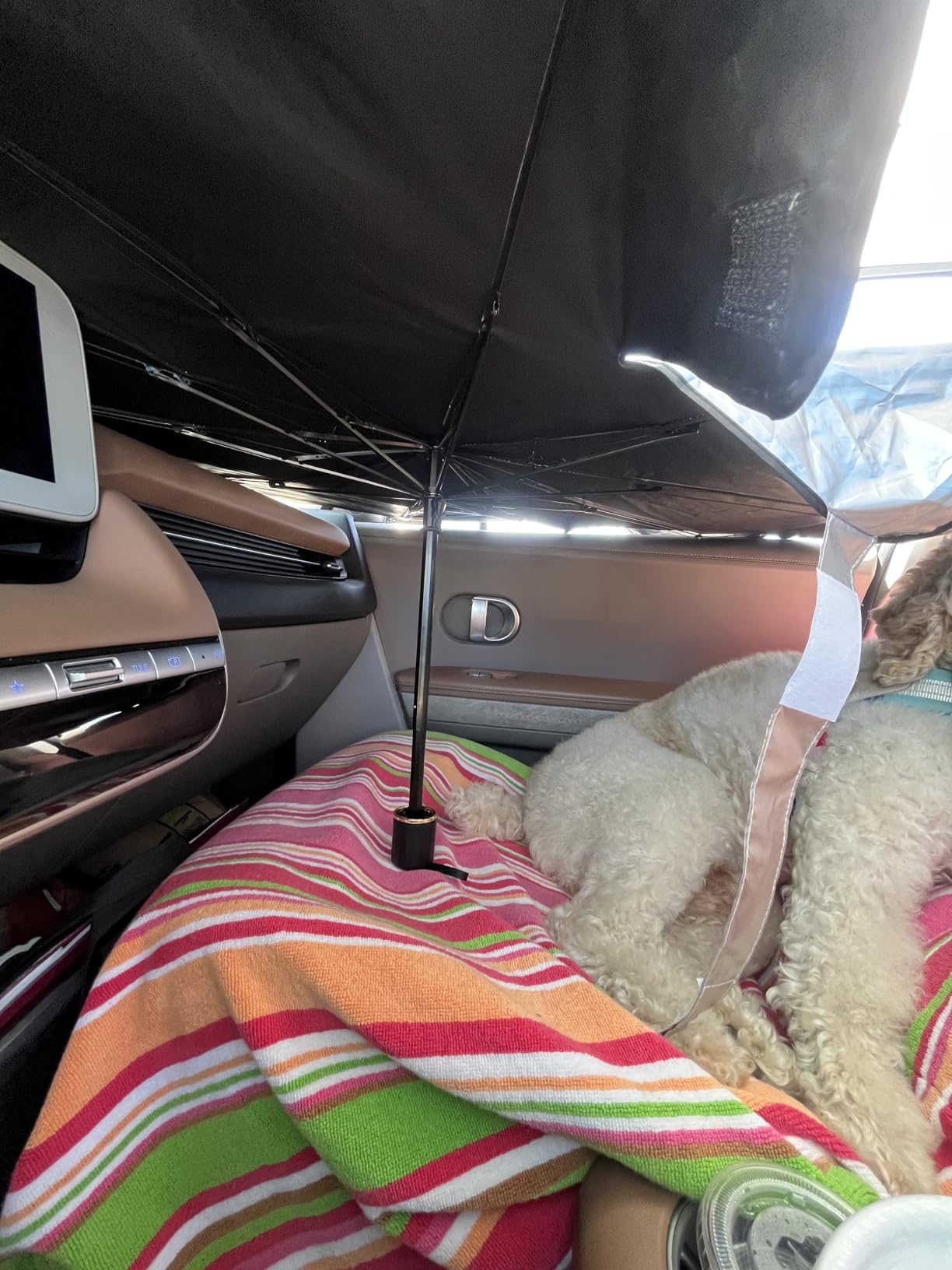 2026 Windshield Sun Shade Umbrella, Foldable Car Sunshade, 99% UV Block customer photo 2